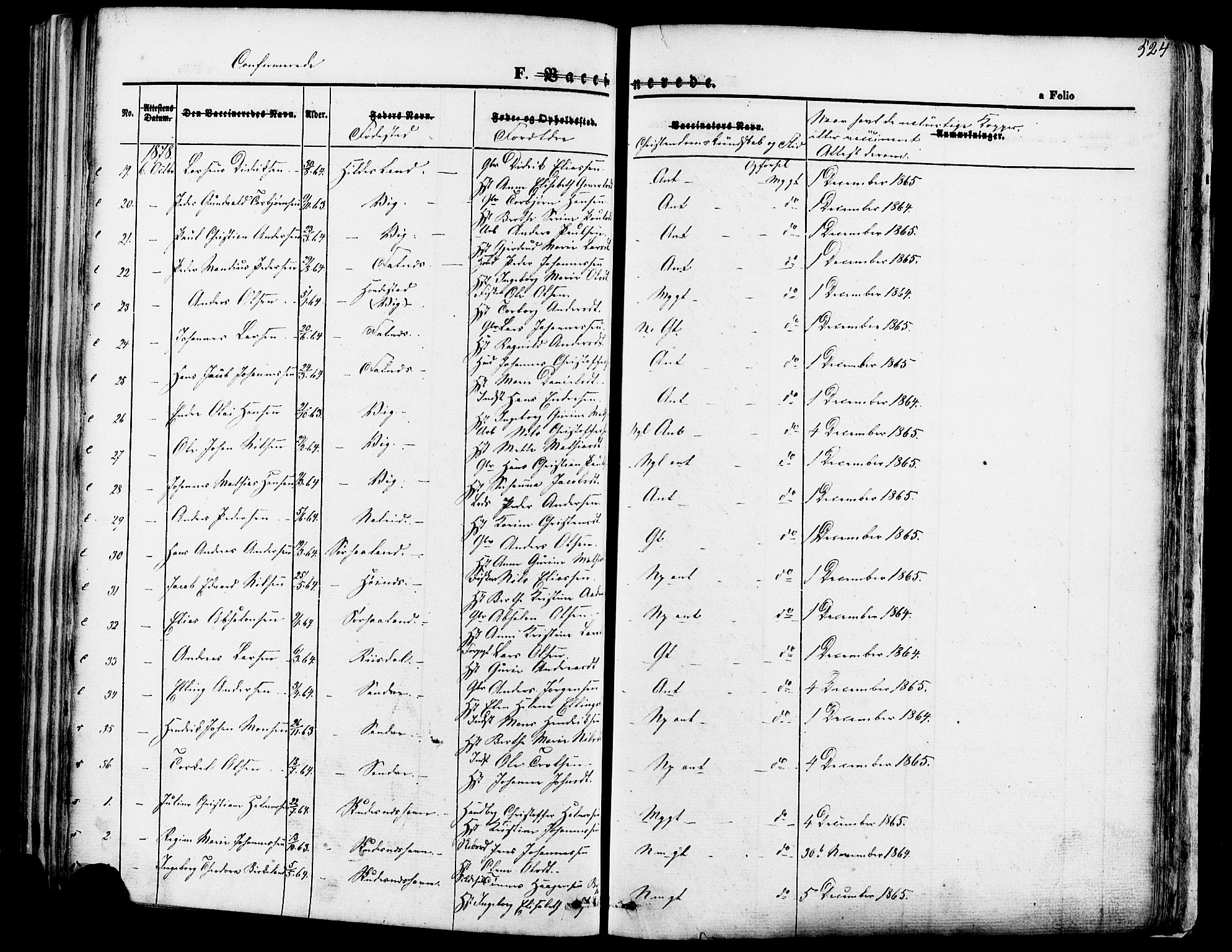 Skudenes sokneprestkontor, SAST/A -101849/H/Ha/Haa/L0006: Parish register (official) no. A 4, 1864-1881, p. 524