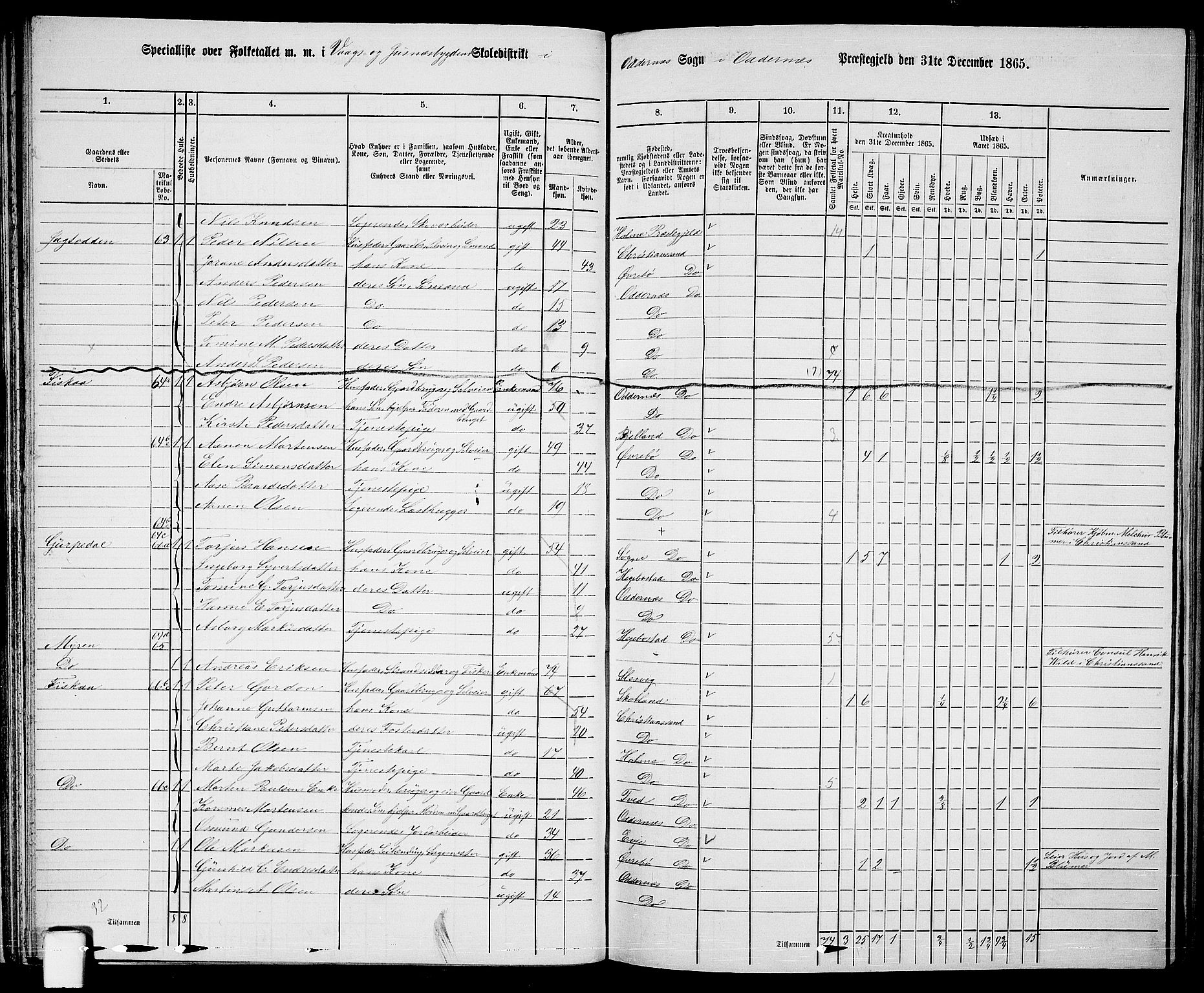 RA, 1865 census for Oddernes, 1865, p. 45