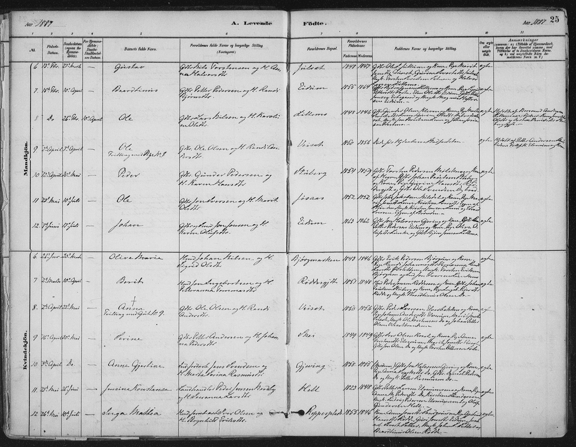 Ministerialprotokoller, klokkerbøker og fødselsregistre - Nord-Trøndelag, AV/SAT-A-1458/710/L0095: Parish register (official) no. 710A01, 1880-1914, p. 25