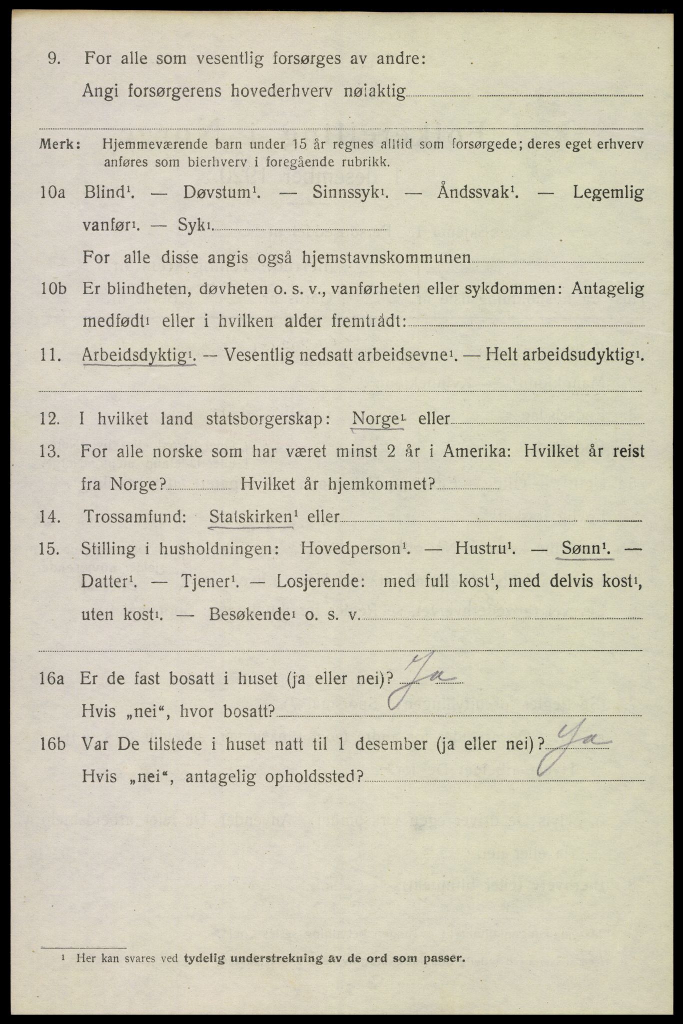 SAH, 1920 census for Furnes, 1920, p. 9624