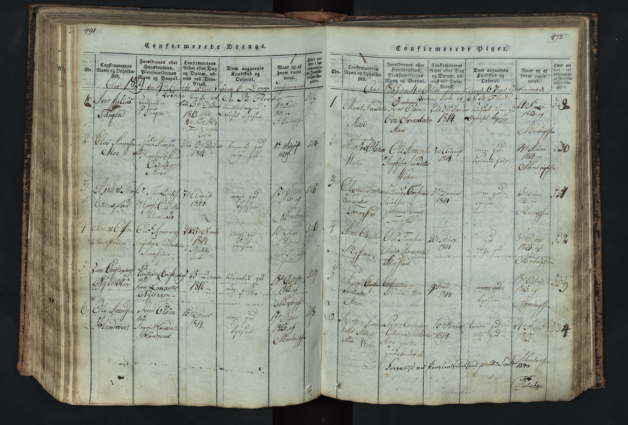 Kvikne prestekontor, SAH/PREST-064/H/Ha/Hab/L0001: Parish register (copy) no. 1, 1815-1895, p. 491-492