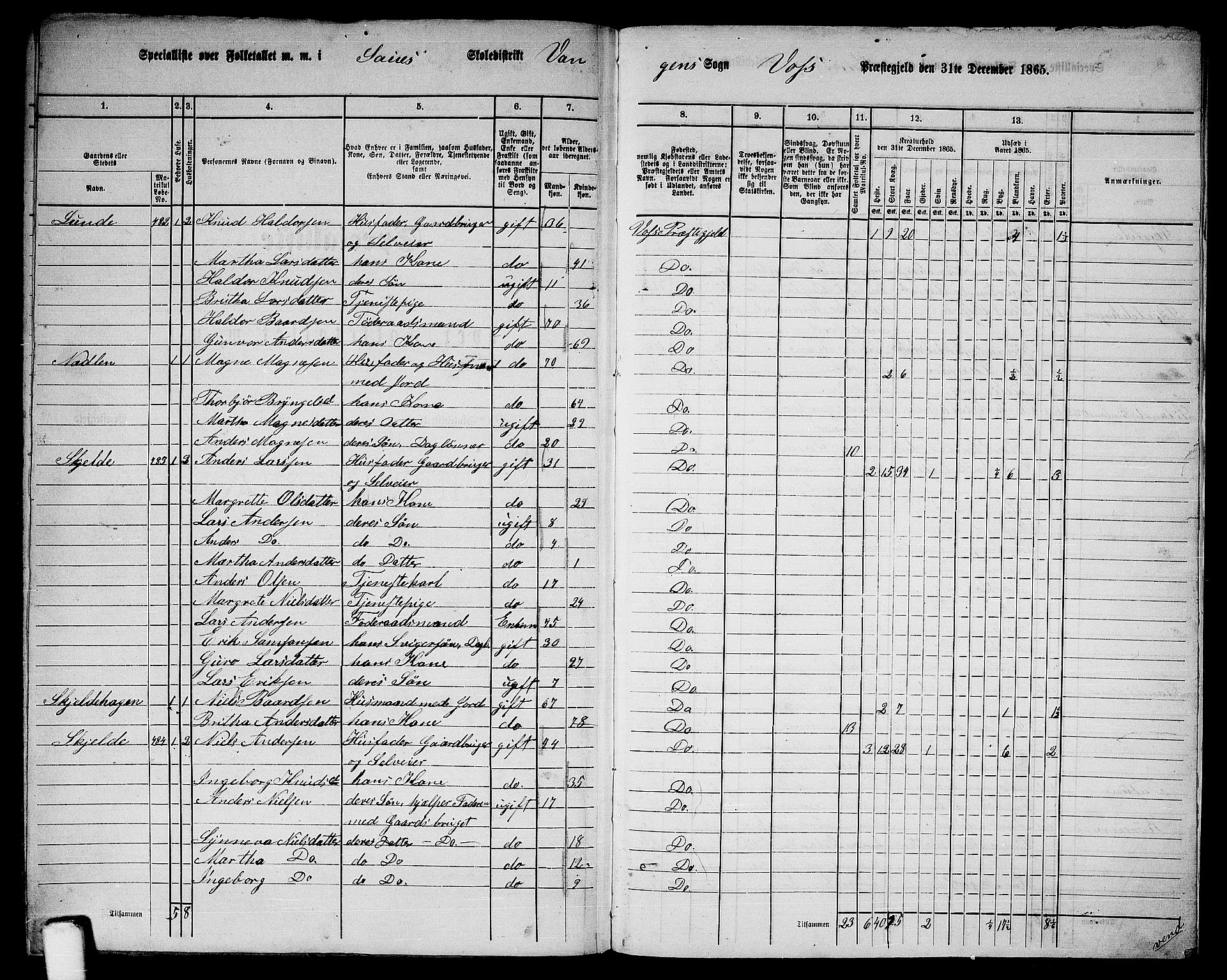 RA, 1865 census for Voss, 1865, p. 217