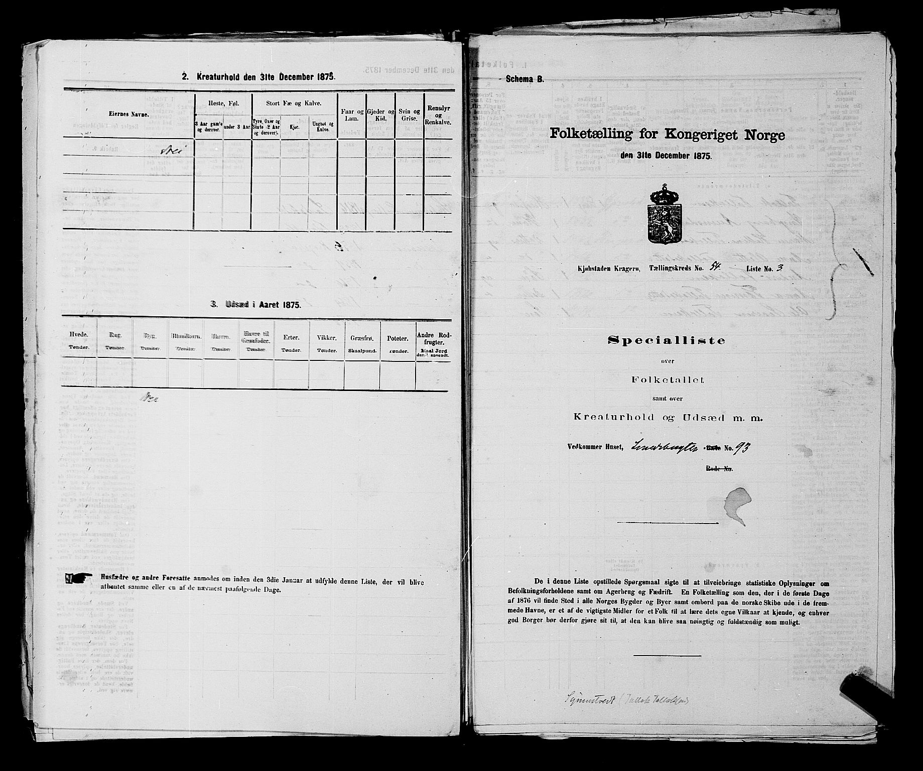 SAKO, 1875 census for 0801P Kragerø, 1875, p. 1189