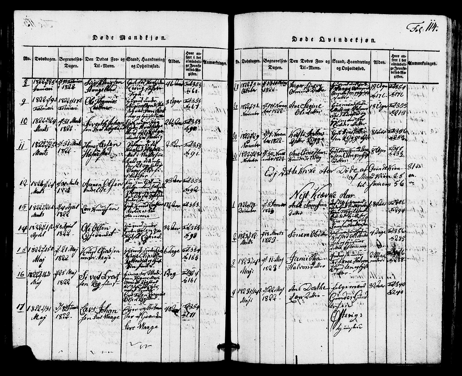 Avaldsnes sokneprestkontor, SAST/A -101851/H/Ha/Hab/L0001: Parish register (copy) no. B 1, 1816-1825, p. 114