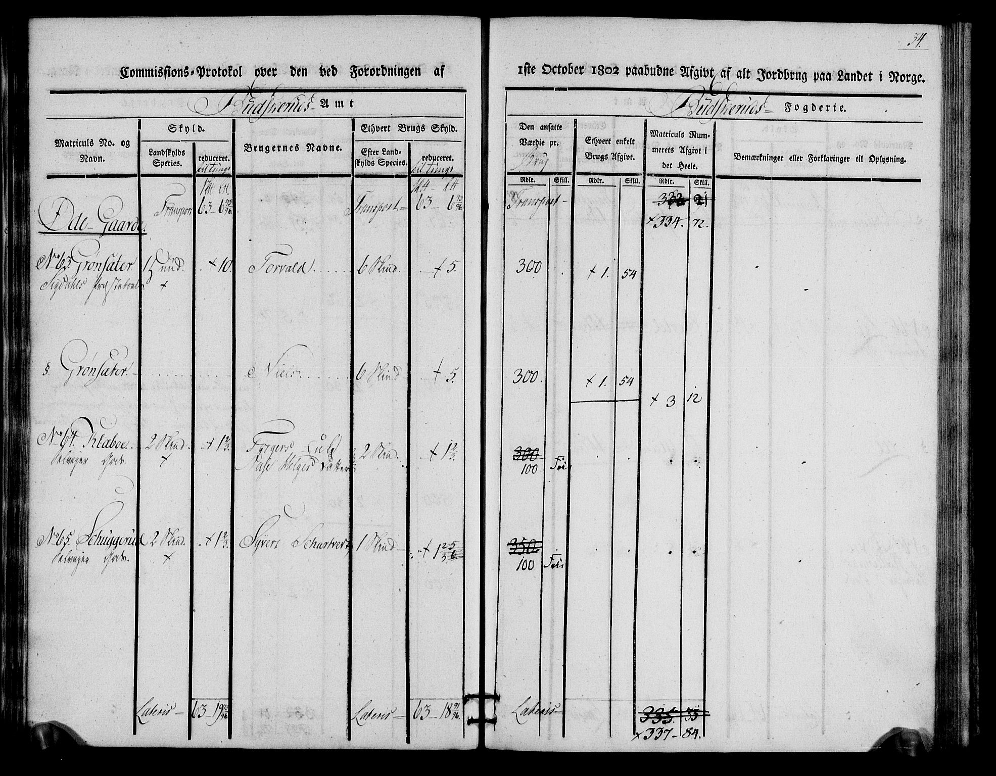 Rentekammeret inntil 1814, Realistisk ordnet avdeling, RA/EA-4070/N/Ne/Nea/L0060: Buskerud fogderi. Kommisjonsprotokoll for Sigdal prestegjeld, 1803, p. 34