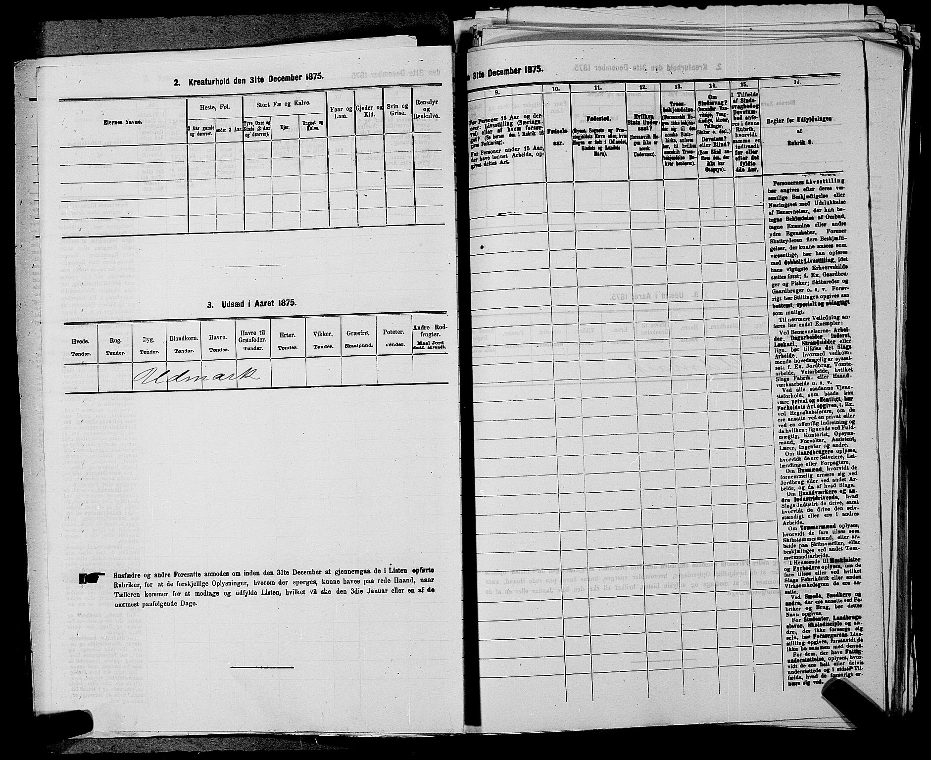 SAKO, 1875 census for 0721P Sem, 1875, p. 1359