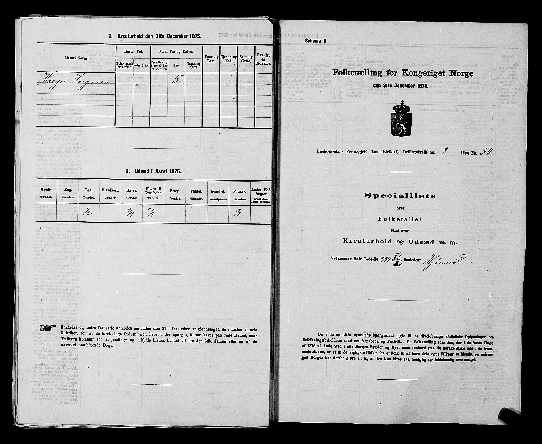 RA, 1875 census for 0132L Fredrikstad/Glemmen, 1875, p. 787