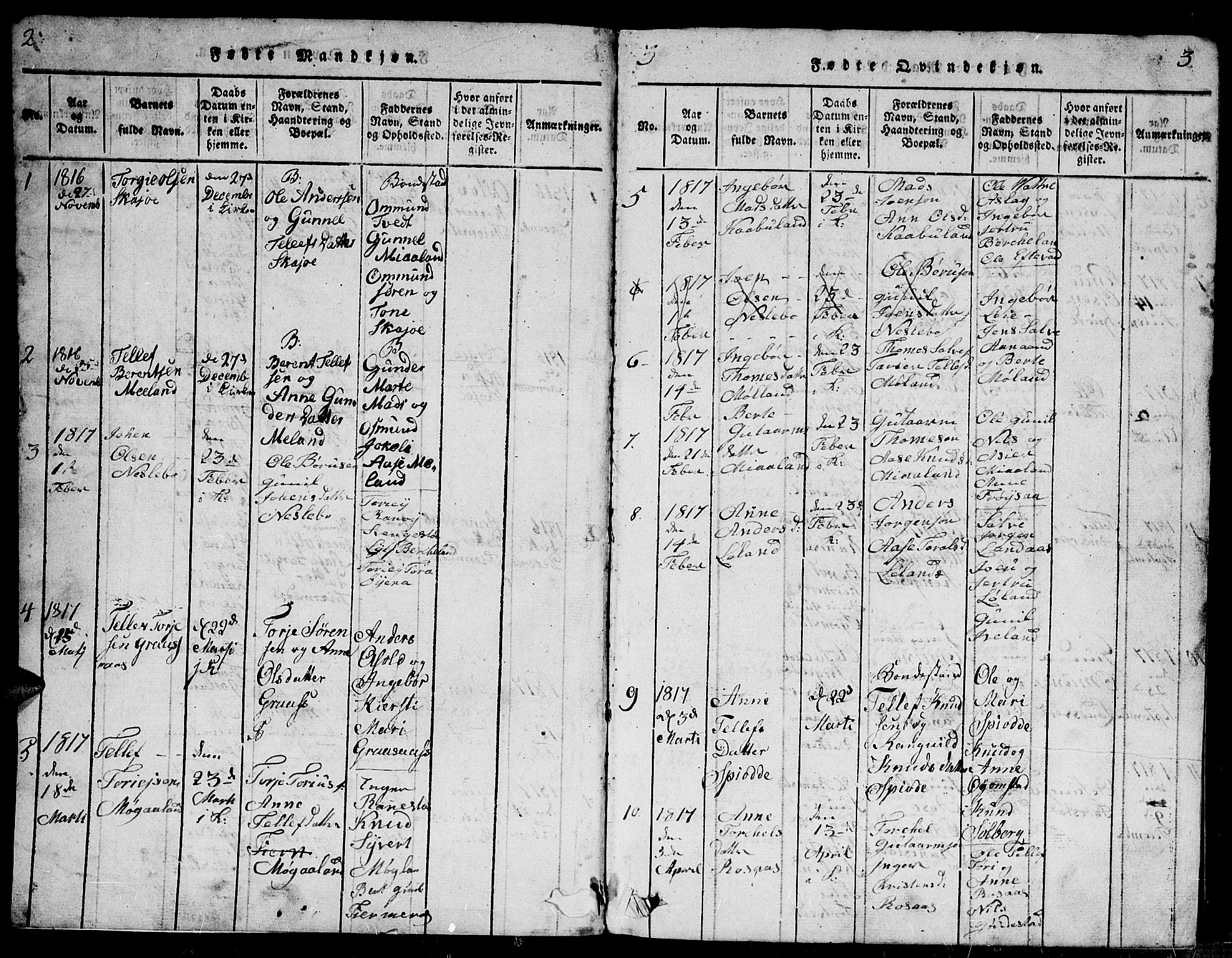 Evje sokneprestkontor, SAK/1111-0008/F/Fb/Fbc/L0001: Parish register (copy) no. B 1, 1816-1836, p. 2-3