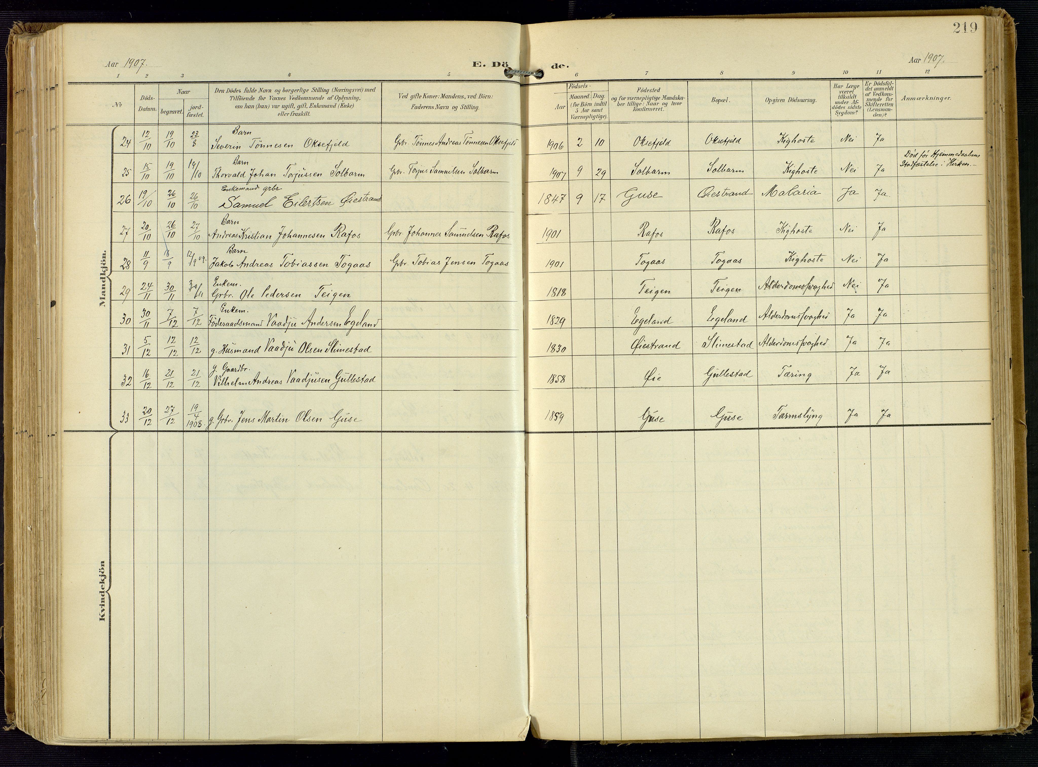 Kvinesdal sokneprestkontor, AV/SAK-1111-0026/F/Fa/Fab/L0009: Parish register (official) no. A 9, 1898-1915, p. 219