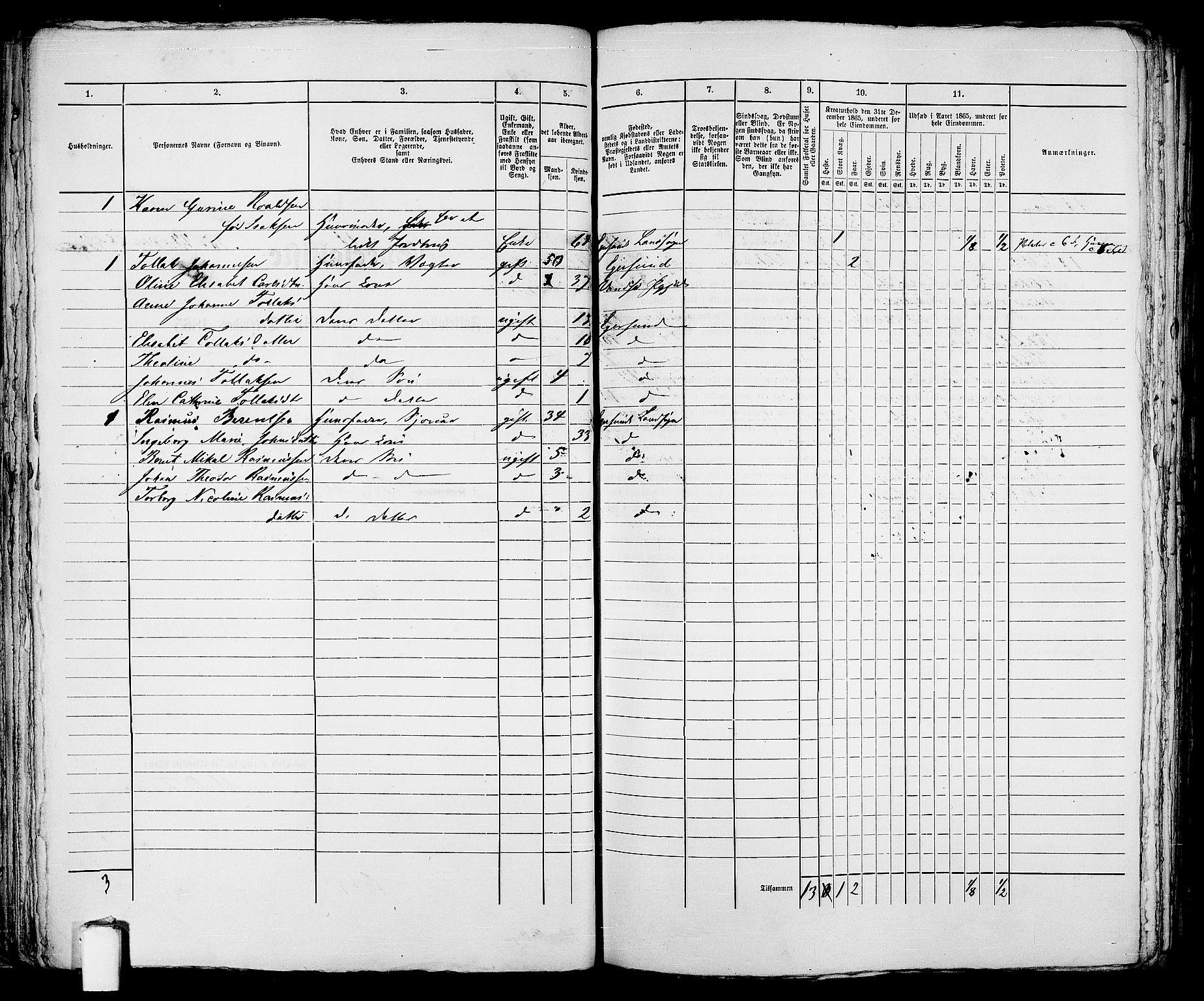 RA, 1865 census for Eigersund parish, Egersund town, 1865, p. 87