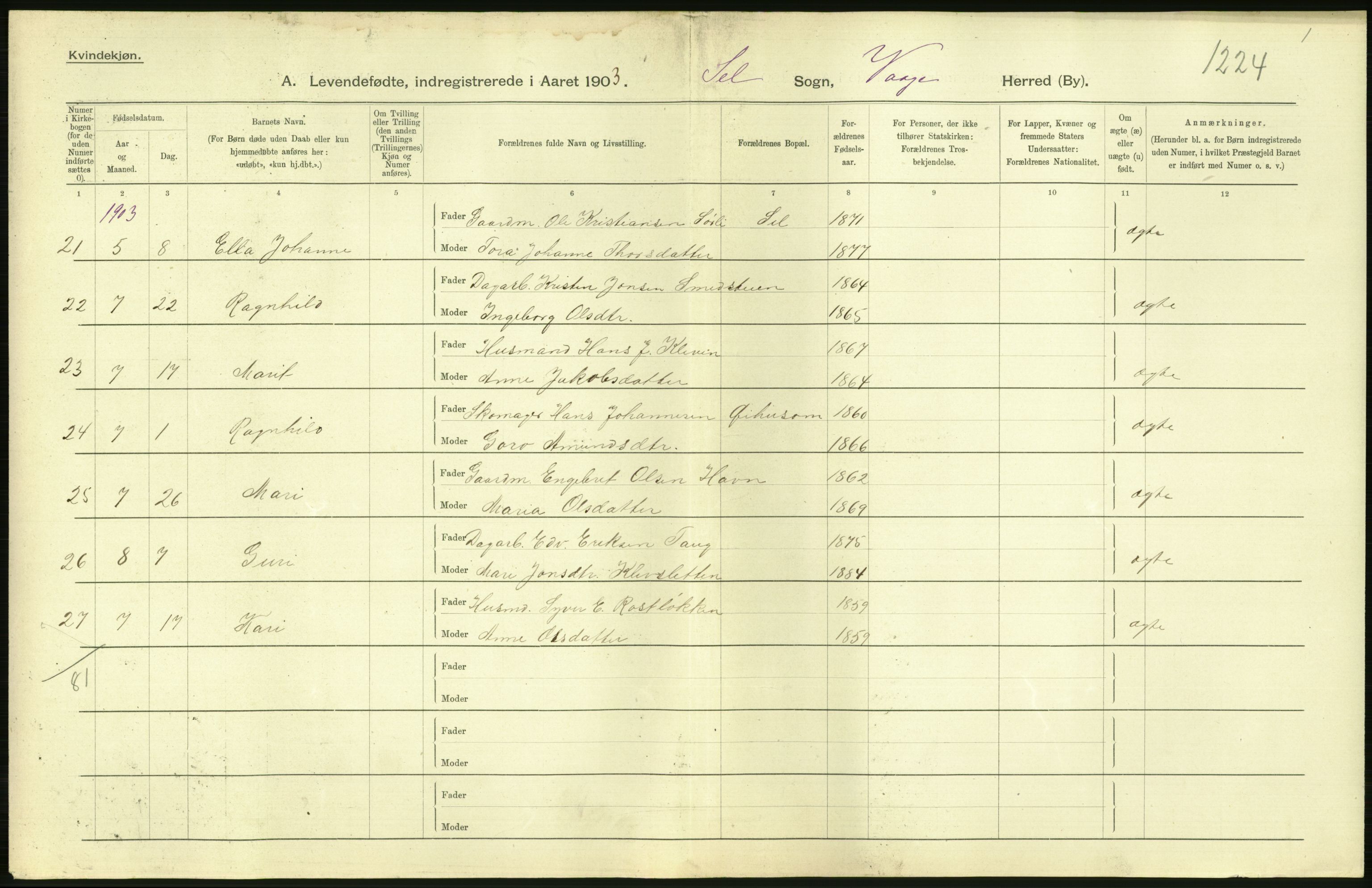 Statistisk sentralbyrå, Sosiodemografiske emner, Befolkning, AV/RA-S-2228/D/Df/Dfa/Dfaa/L0006: Kristians amt: Fødte, gifte, døde, 1903, p. 46