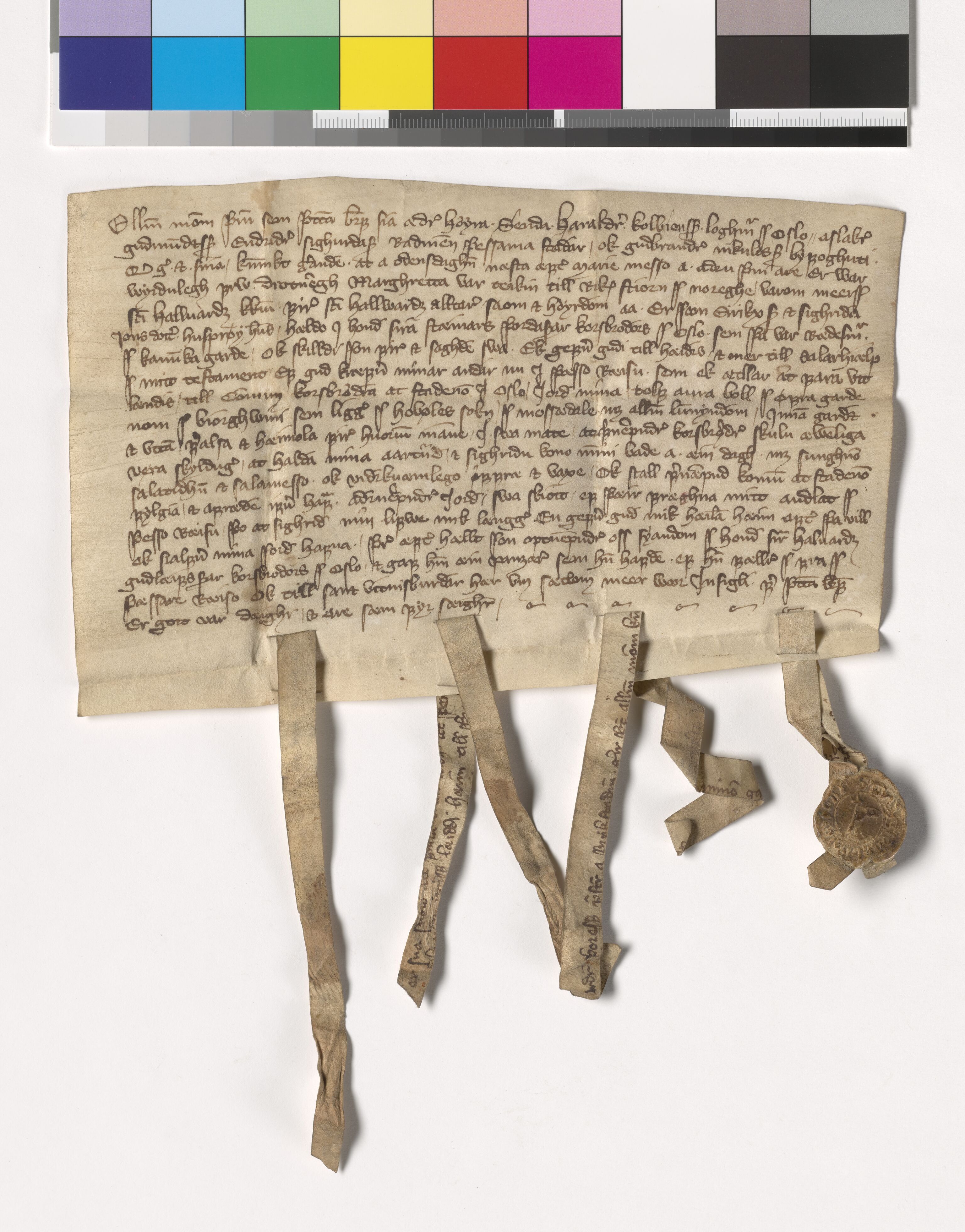 Riksarkivets diplomsamling, AV/RA-EA-5965/F05/L0187: NRA AM fasc. 75 nr. 20 - fasc. 76 nr. 12, 1388-1389, p. 5