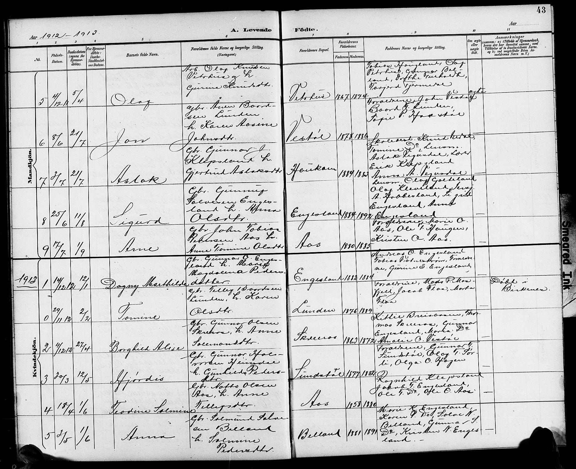 Herefoss sokneprestkontor, AV/SAK-1111-0019/F/Fb/Fbb/L0003: Parish register (copy) no. B 3, 1892-1917, p. 43