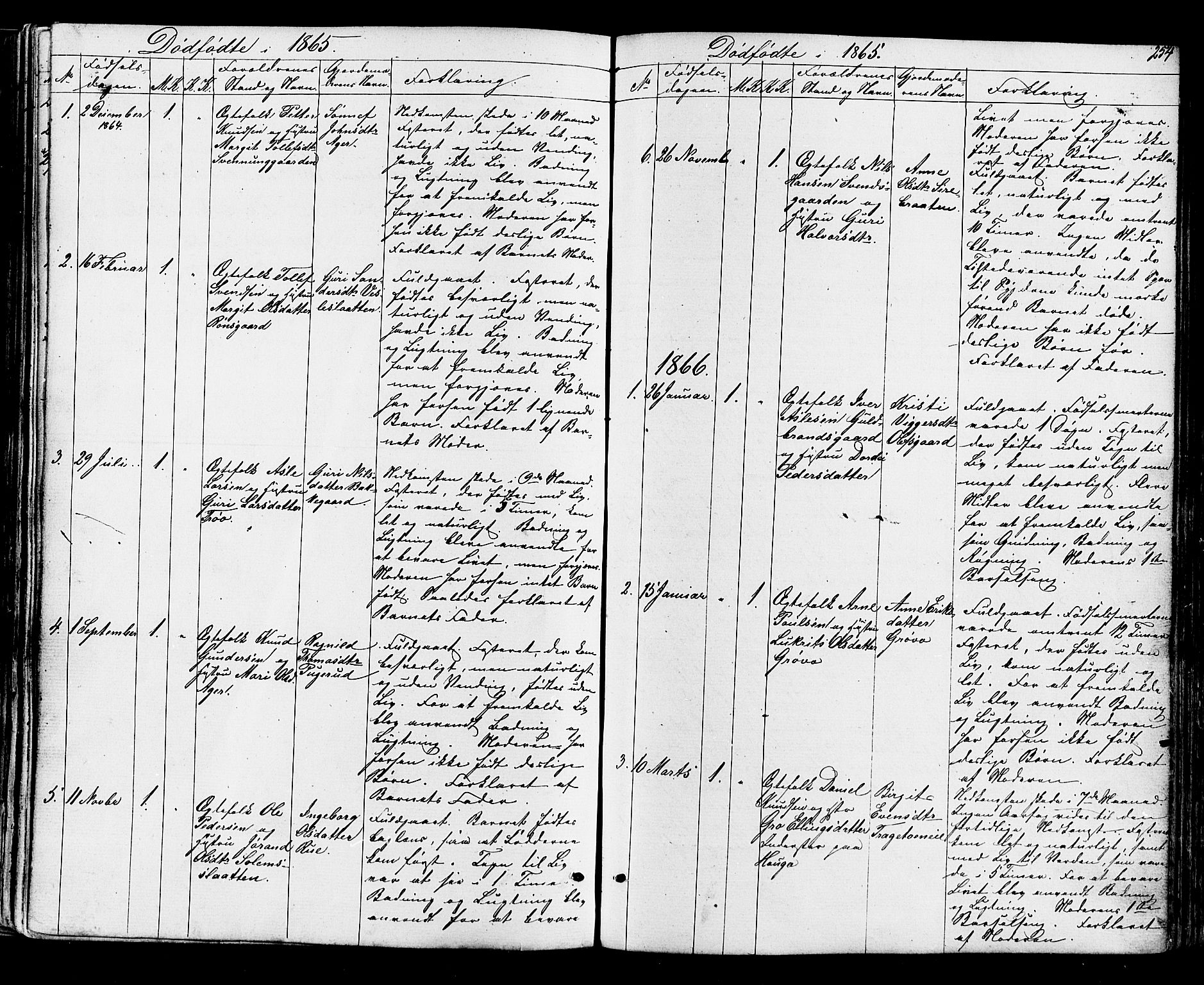 Ål kirkebøker, SAKO/A-249/F/Fa/L0007: Parish register (official) no. I 7, 1865-1881, p. 254