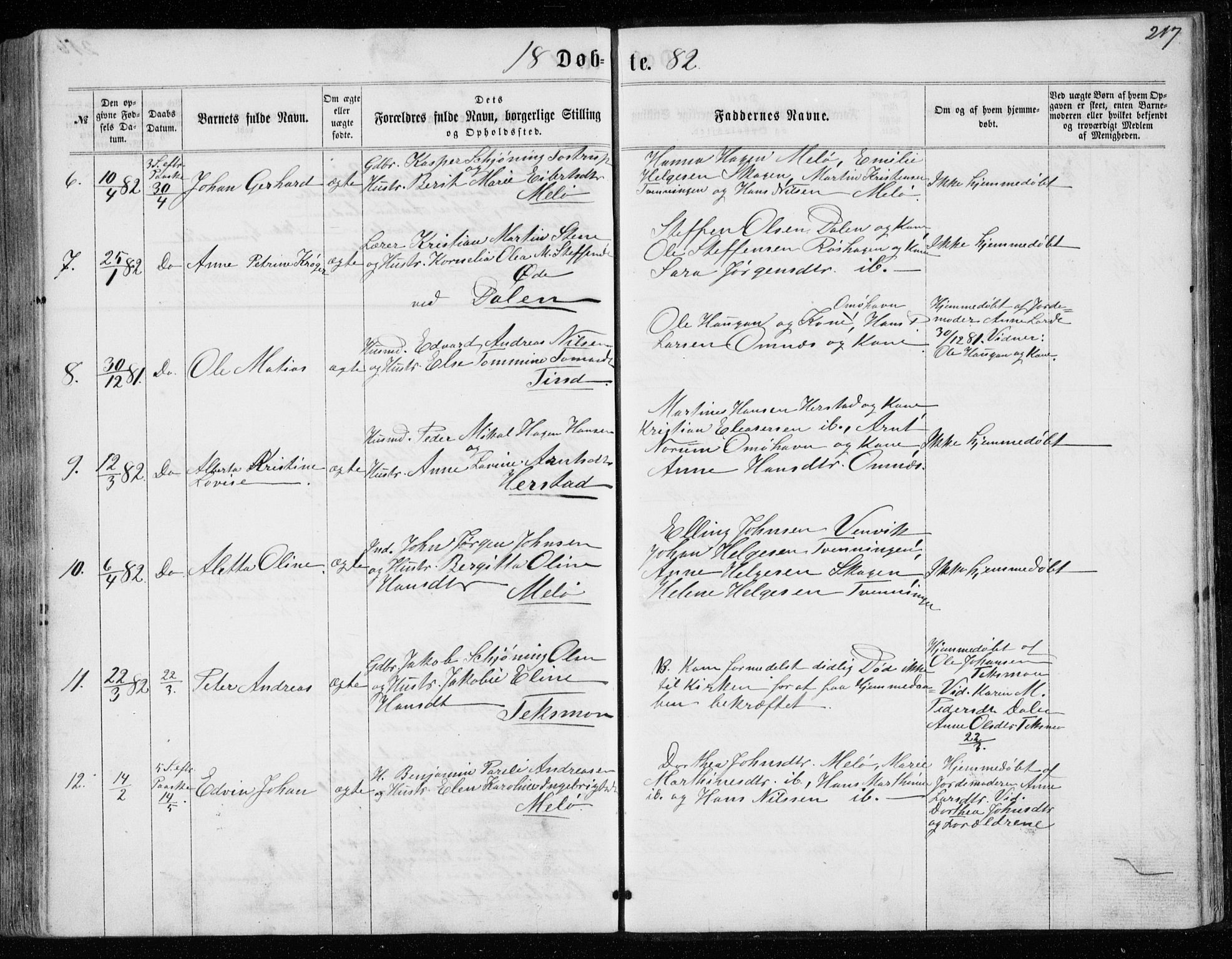 Ministerialprotokoller, klokkerbøker og fødselsregistre - Nordland, AV/SAT-A-1459/843/L0634: Parish register (copy) no. 843C03, 1860-1884, p. 217