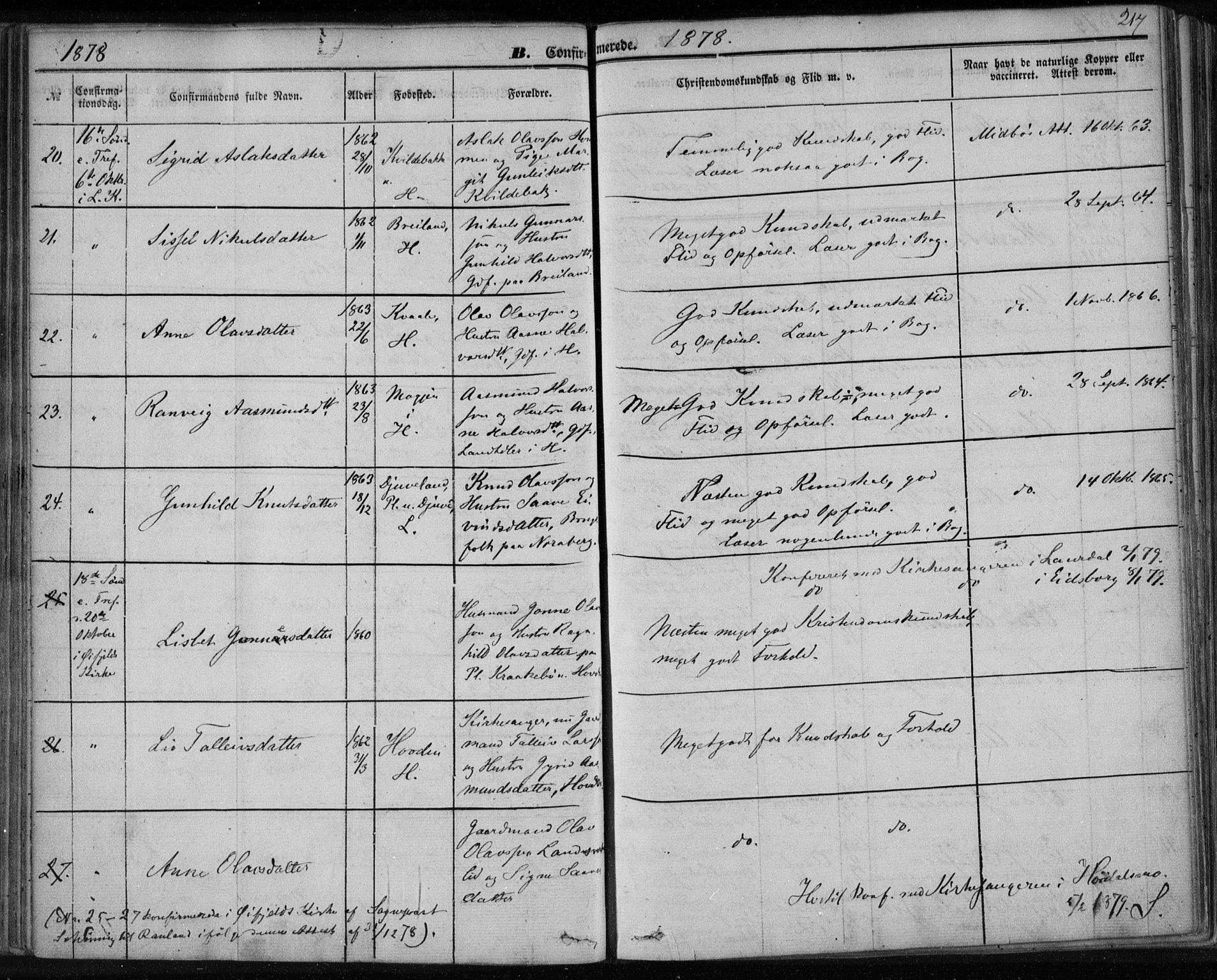 Lårdal kirkebøker, SAKO/A-284/F/Fa/L0006: Parish register (official) no. I 6, 1861-1886, p. 217
