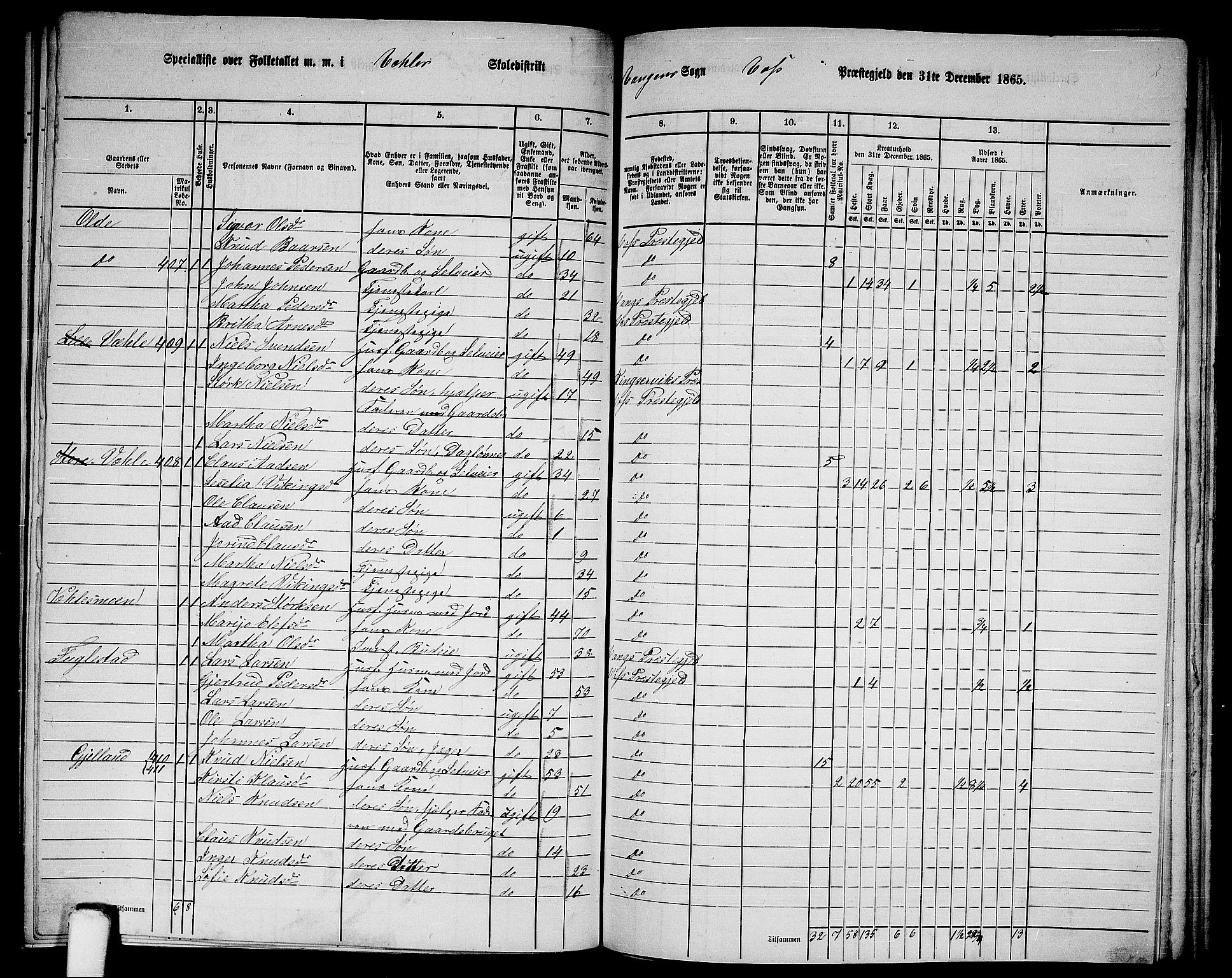 RA, 1865 census for Voss, 1865, p. 186