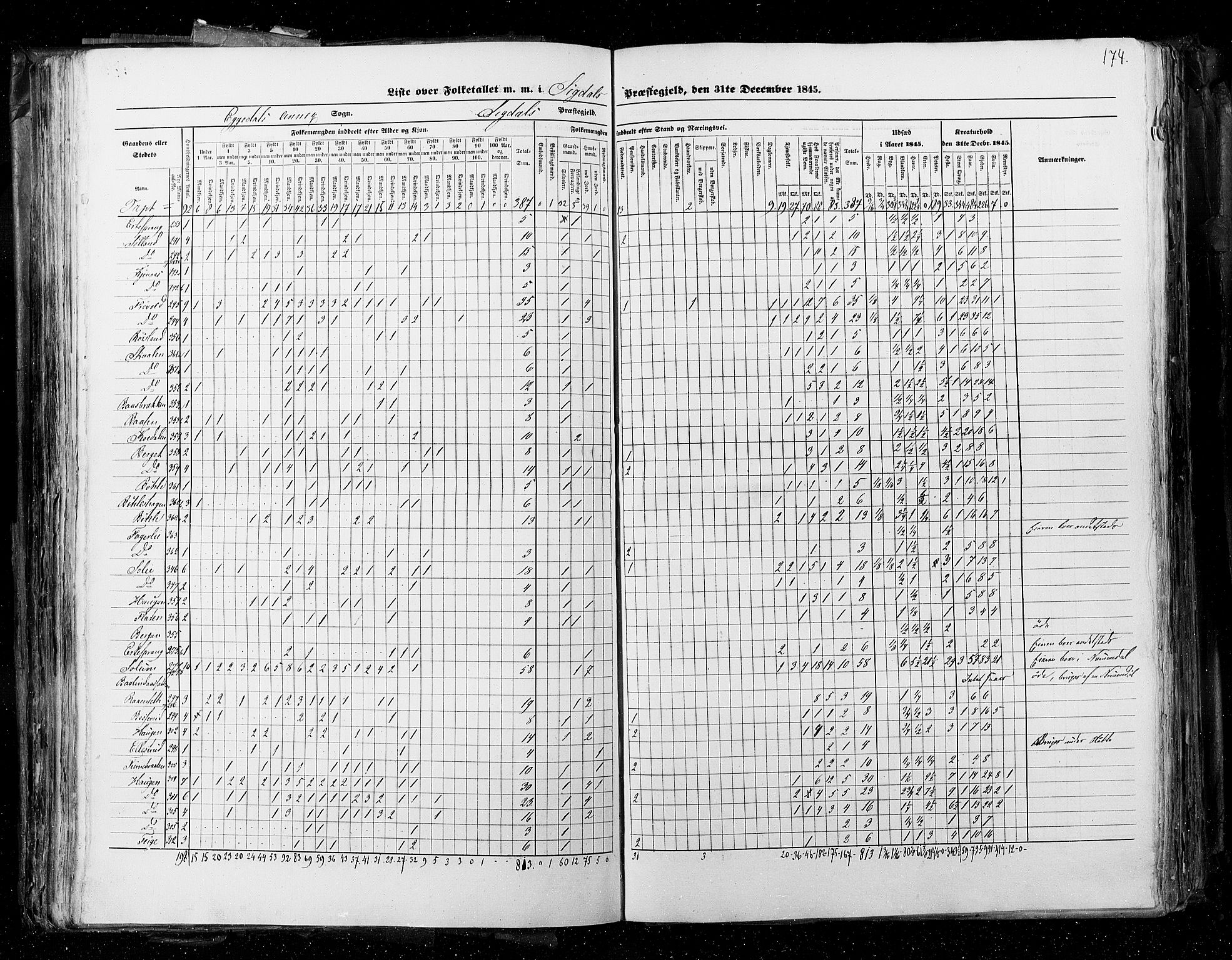 RA, Census 1845, vol. 4: Buskerud amt og Jarlsberg og Larvik amt, 1845, p. 174