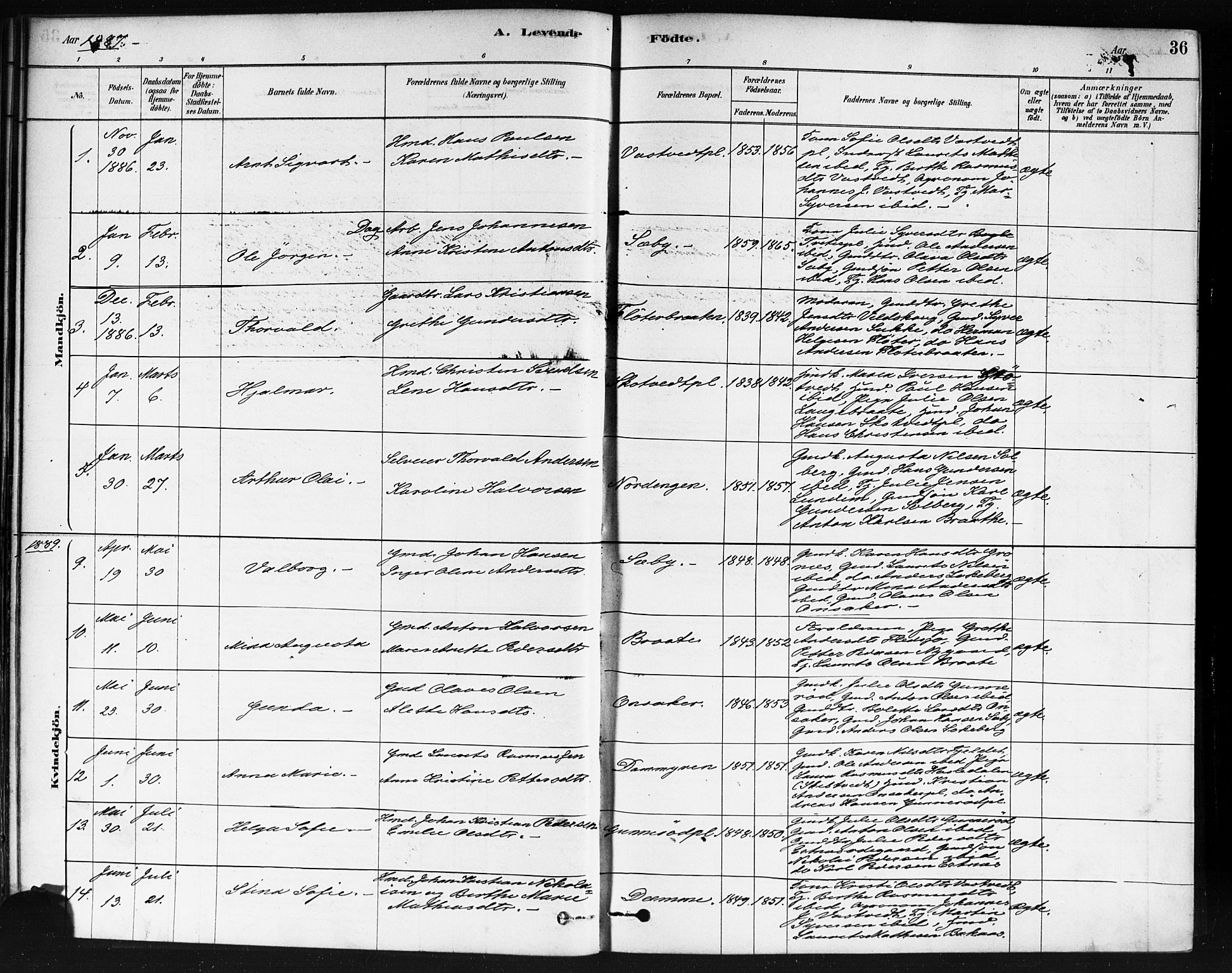 Våler prestekontor Kirkebøker, AV/SAO-A-11083/F/Fb/L0001: Parish register (official) no. II 1, 1878-1896, p. 36