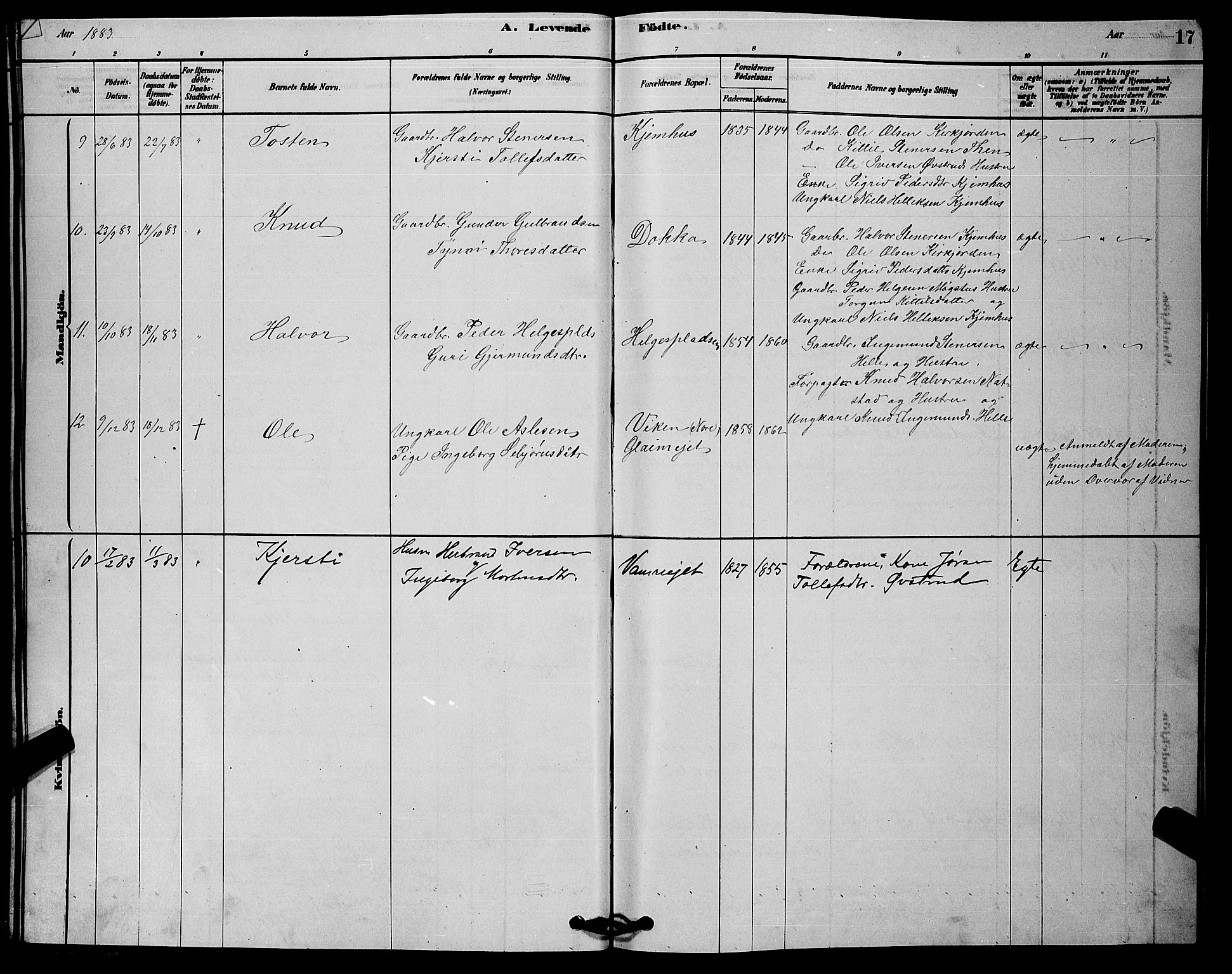 Rollag kirkebøker, AV/SAKO-A-240/G/Gb/L0002: Parish register (copy) no. II 2, 1878-1898, p. 17