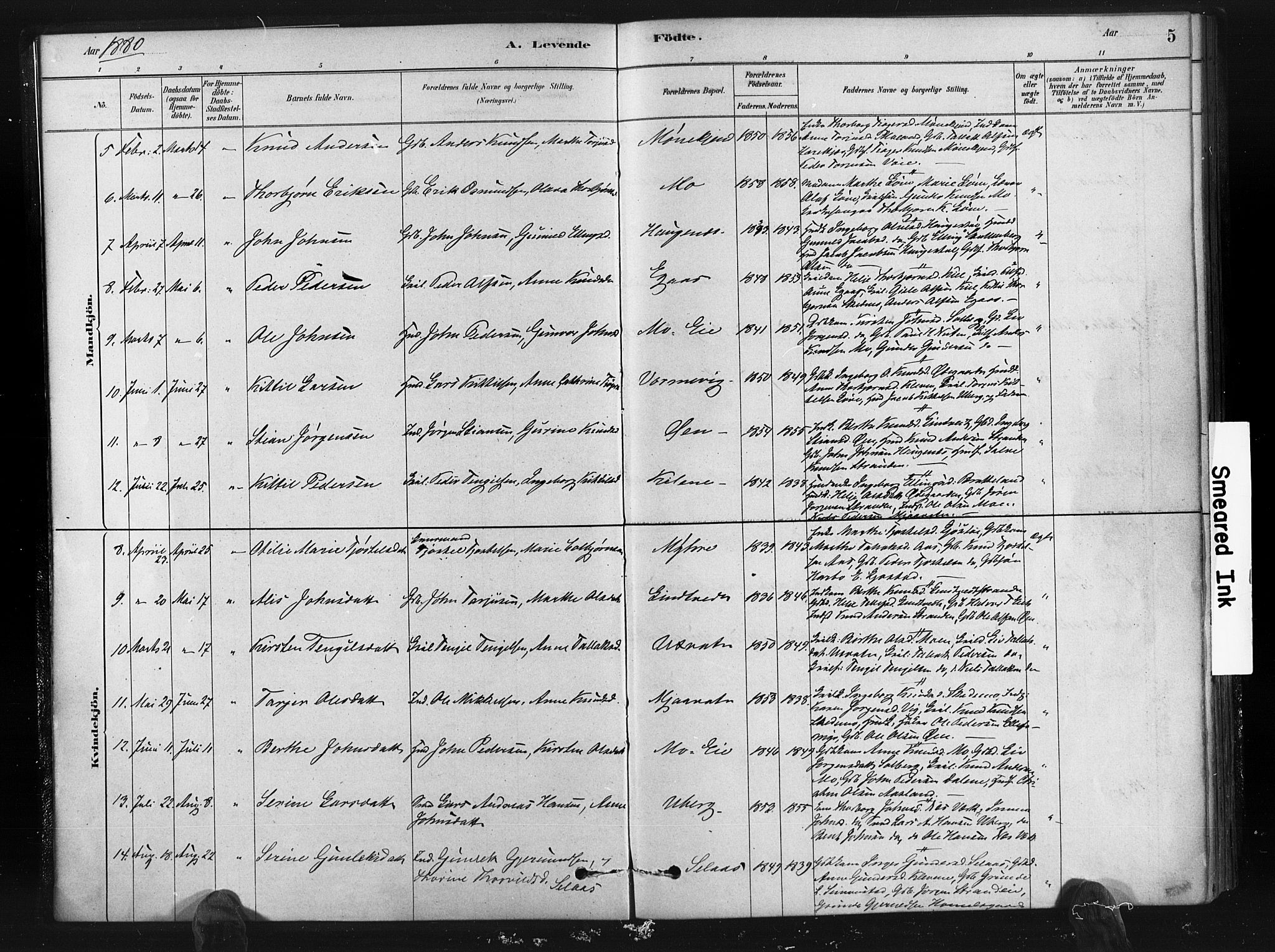 Gjerstad sokneprestkontor, SAK/1111-0014/F/Fa/Fab/L0004: Parish register (official) no. A 4, 1879-1890, p. 5