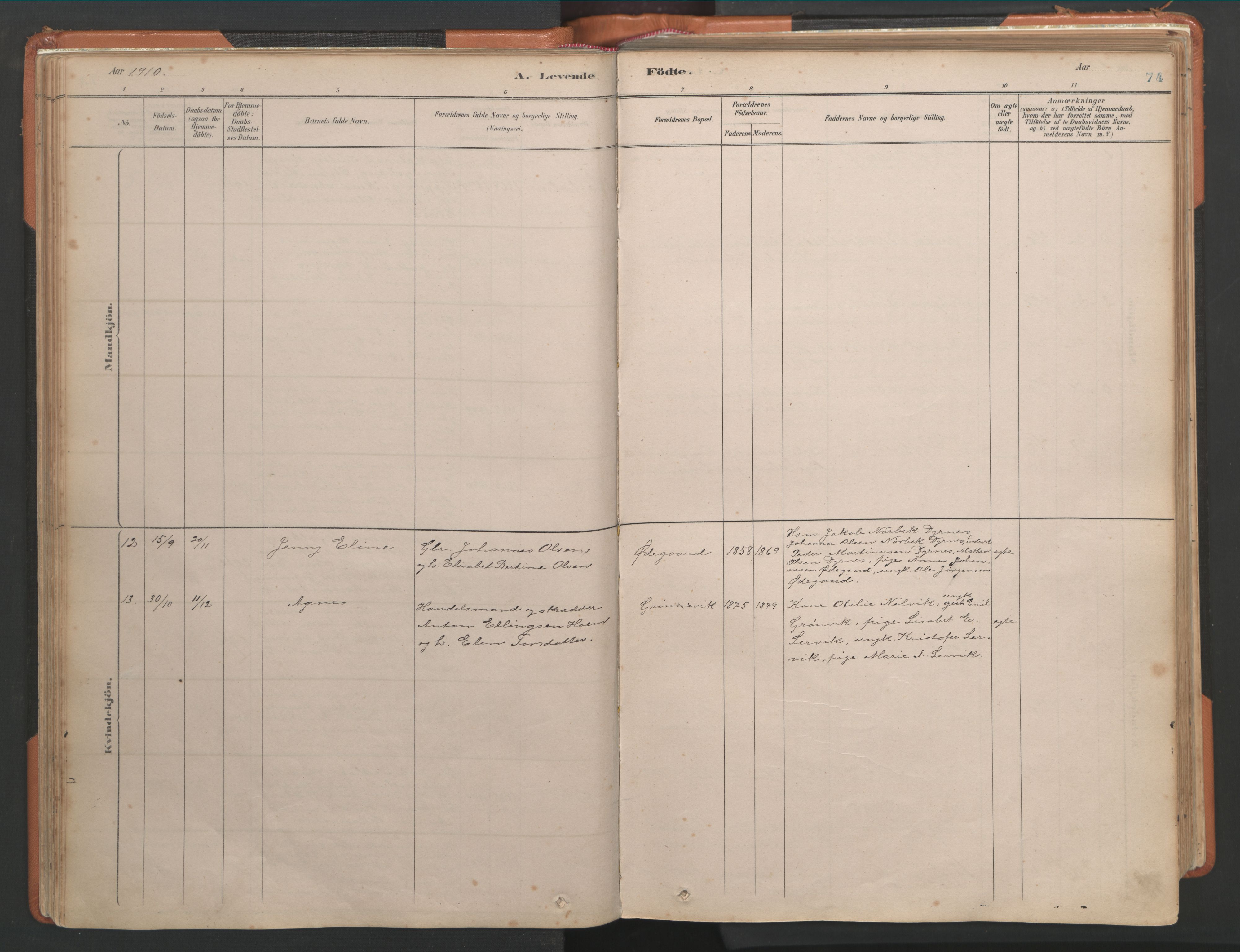 Ministerialprotokoller, klokkerbøker og fødselsregistre - Møre og Romsdal, AV/SAT-A-1454/581/L0941: Parish register (official) no. 581A09, 1880-1919, p. 74