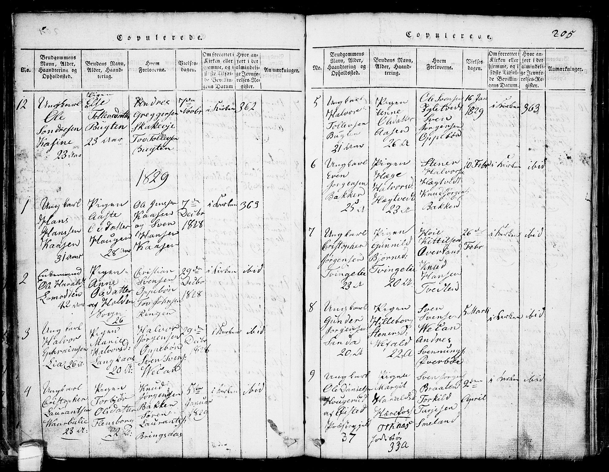 Seljord kirkebøker, SAKO/A-20/G/Ga/L0001: Parish register (copy) no. I 1, 1815-1854, p. 205