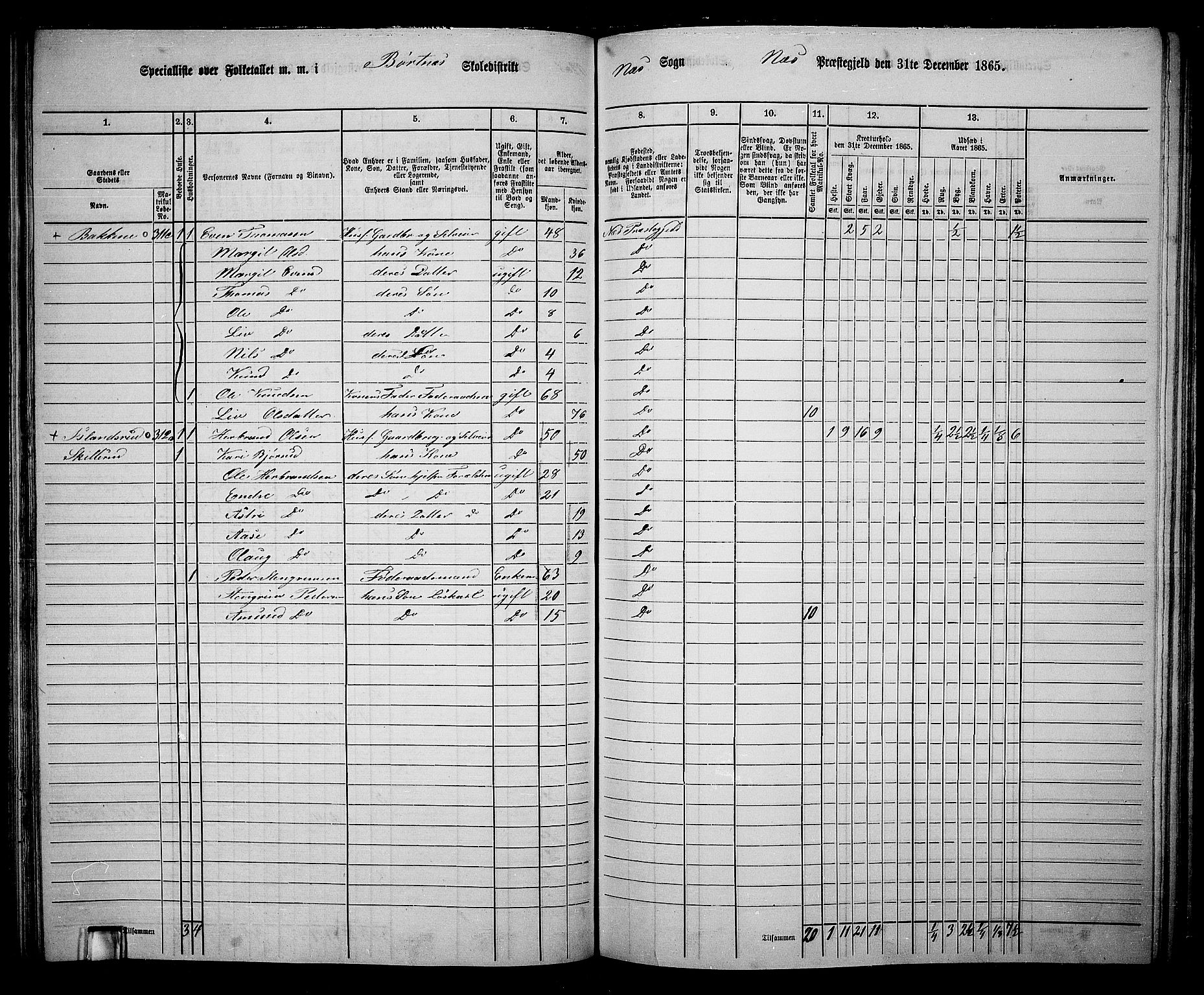 RA, 1865 census for Nes, 1865, p. 125