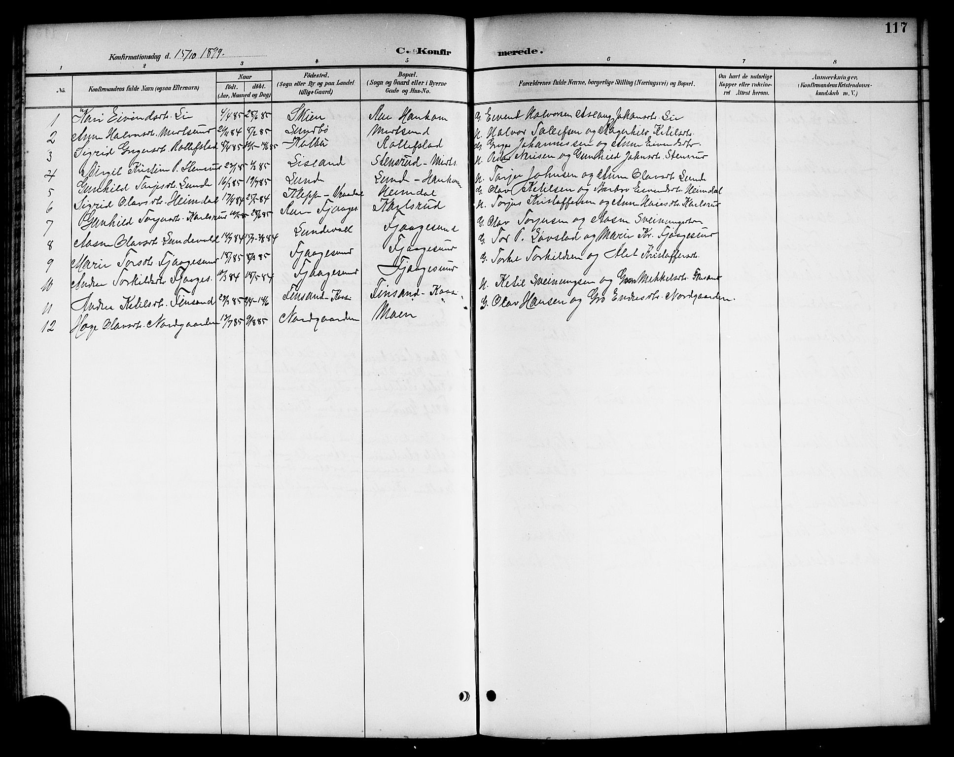 Kviteseid kirkebøker, SAKO/A-276/G/Ga/L0002: Parish register (copy) no. I 2, 1893-1918, p. 117