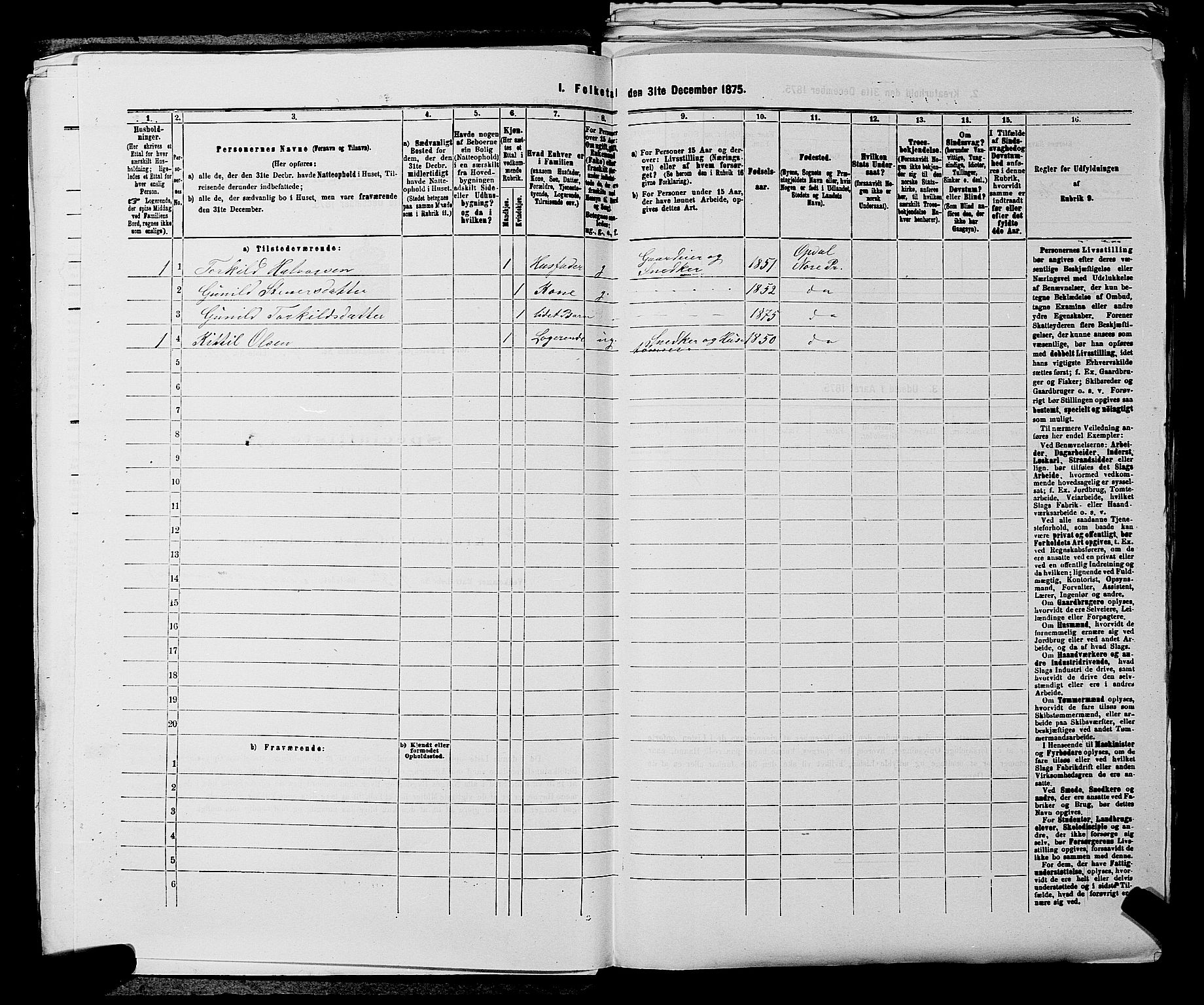 SAKO, 1875 census for 0633P Nore, 1875, p. 501
