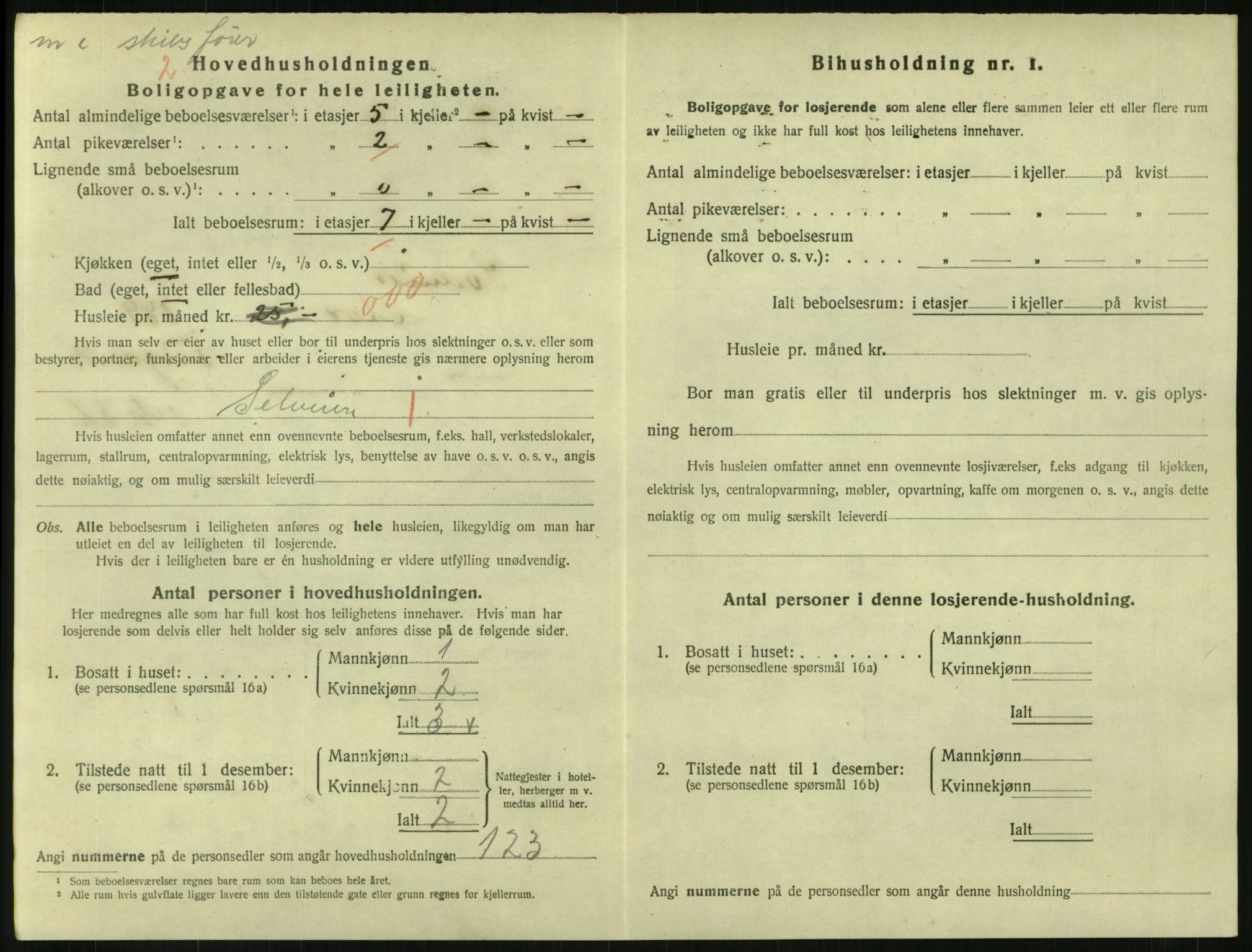 SAKO, 1920 census for Svelvik, 1920, p. 1006