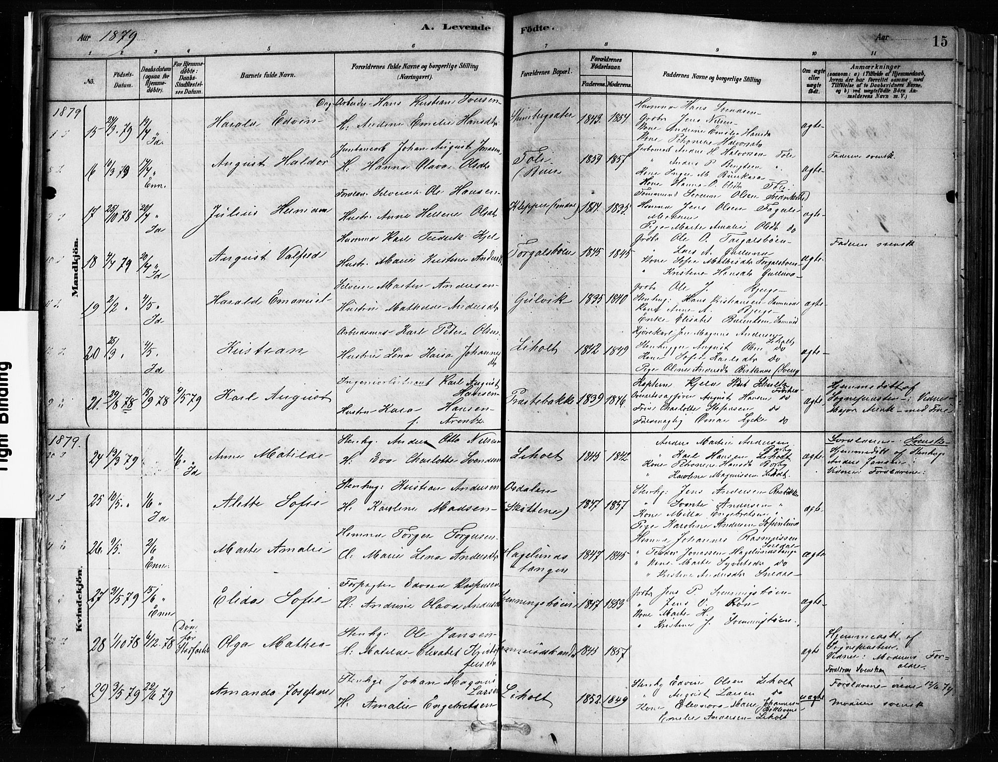Idd prestekontor Kirkebøker, SAO/A-10911/F/Fc/L0006a: Parish register (official) no. III 6A, 1878-1903, p. 15