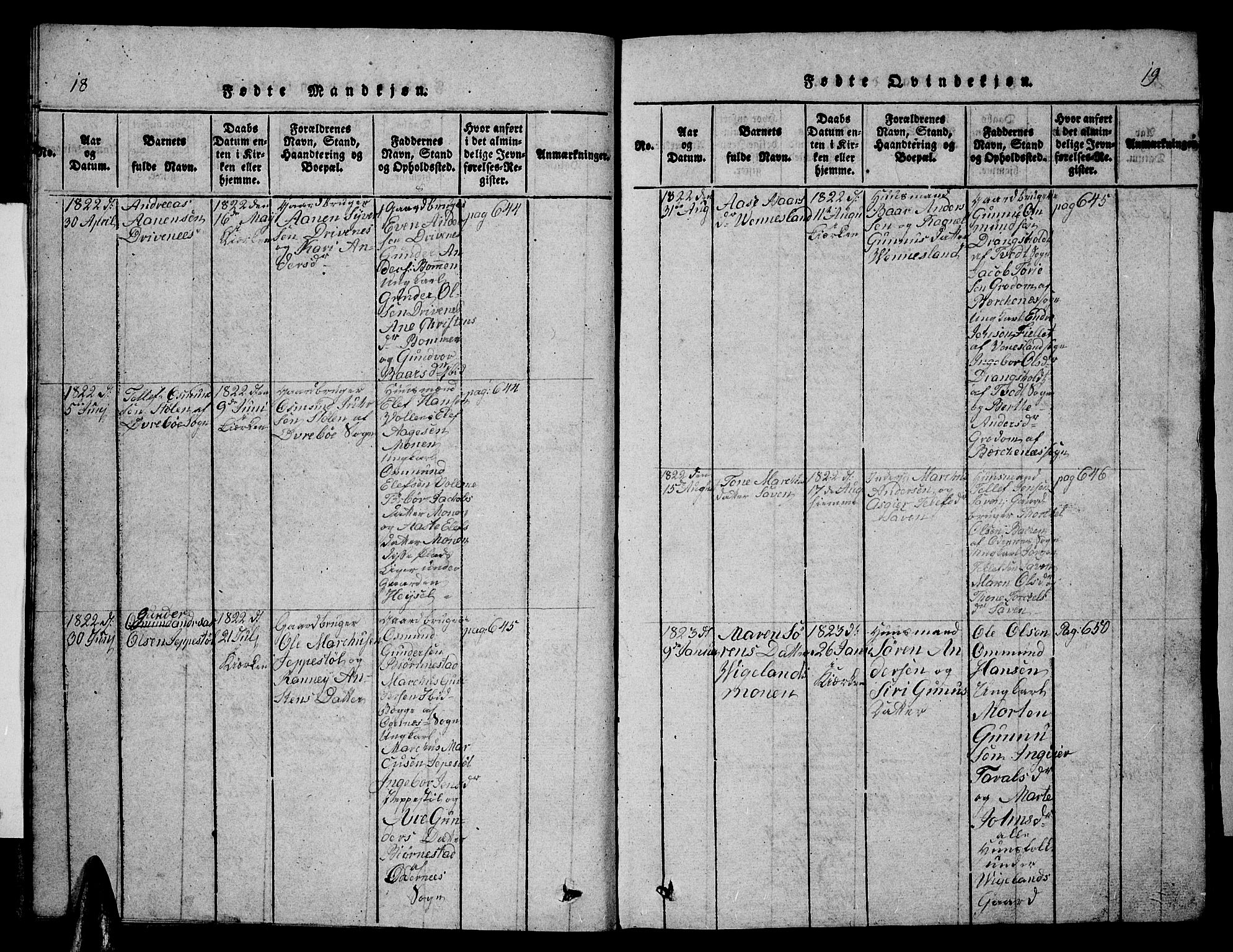 Vennesla sokneprestkontor, AV/SAK-1111-0045/Fb/Fbb/L0001: Parish register (copy) no. B 1, 1820-1834, p. 18-19