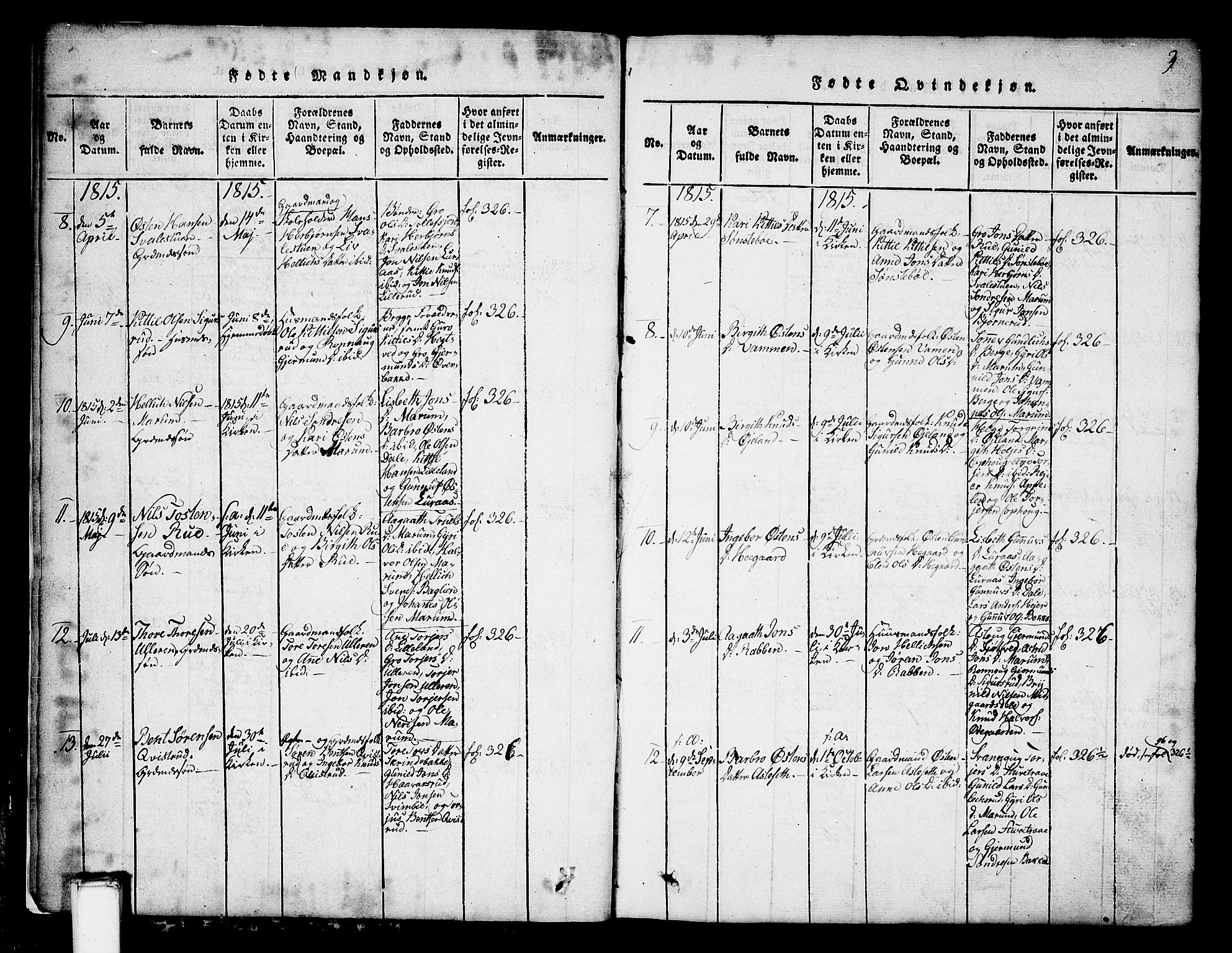 Tinn kirkebøker, AV/SAKO-A-308/G/Ga/L0001: Parish register (copy) no. I 1, 1815-1850, p. 3