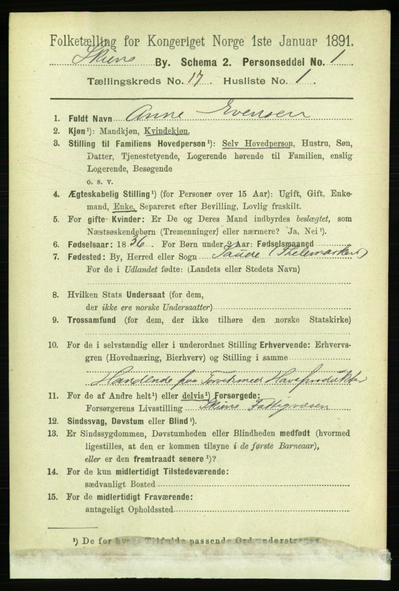 RA, 1891 census for 0806 Skien, 1891, p. 4811