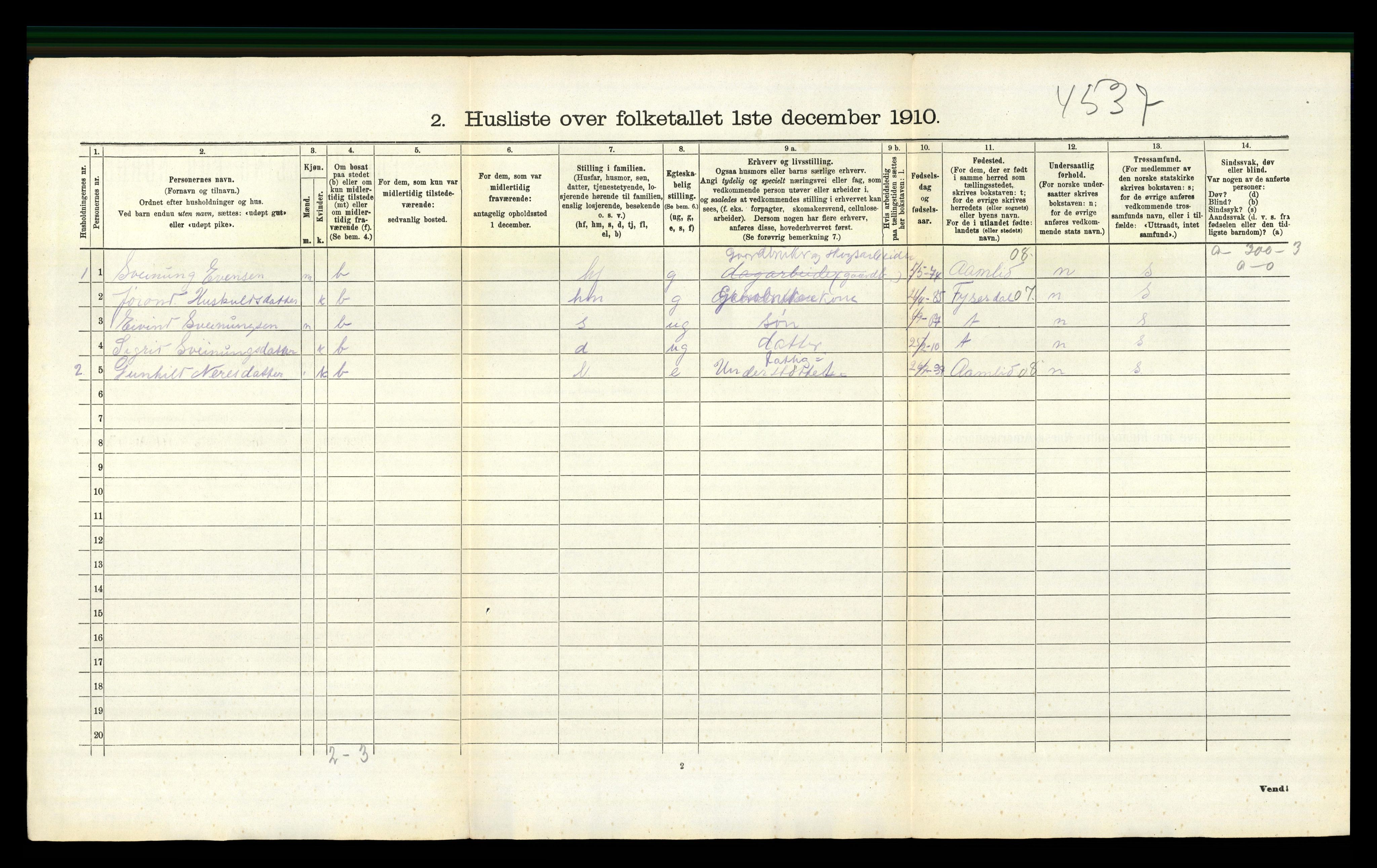 RA, 1910 census for Gjøvdal, 1910, p. 213