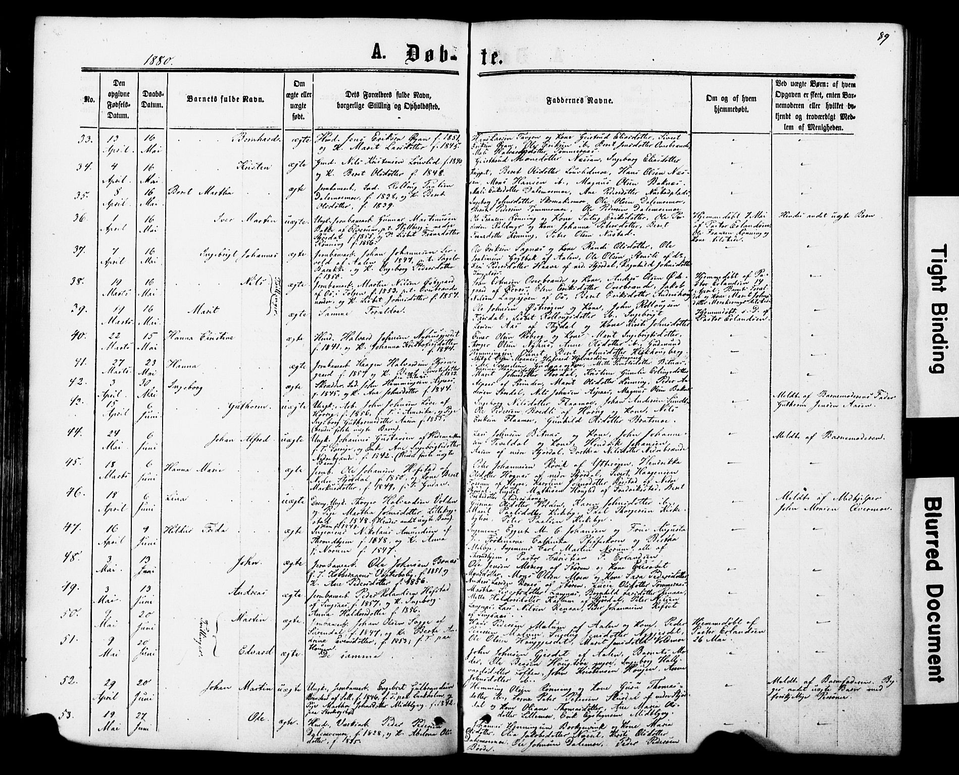 Ministerialprotokoller, klokkerbøker og fødselsregistre - Nord-Trøndelag, AV/SAT-A-1458/706/L0049: Parish register (copy) no. 706C01, 1864-1895, p. 89