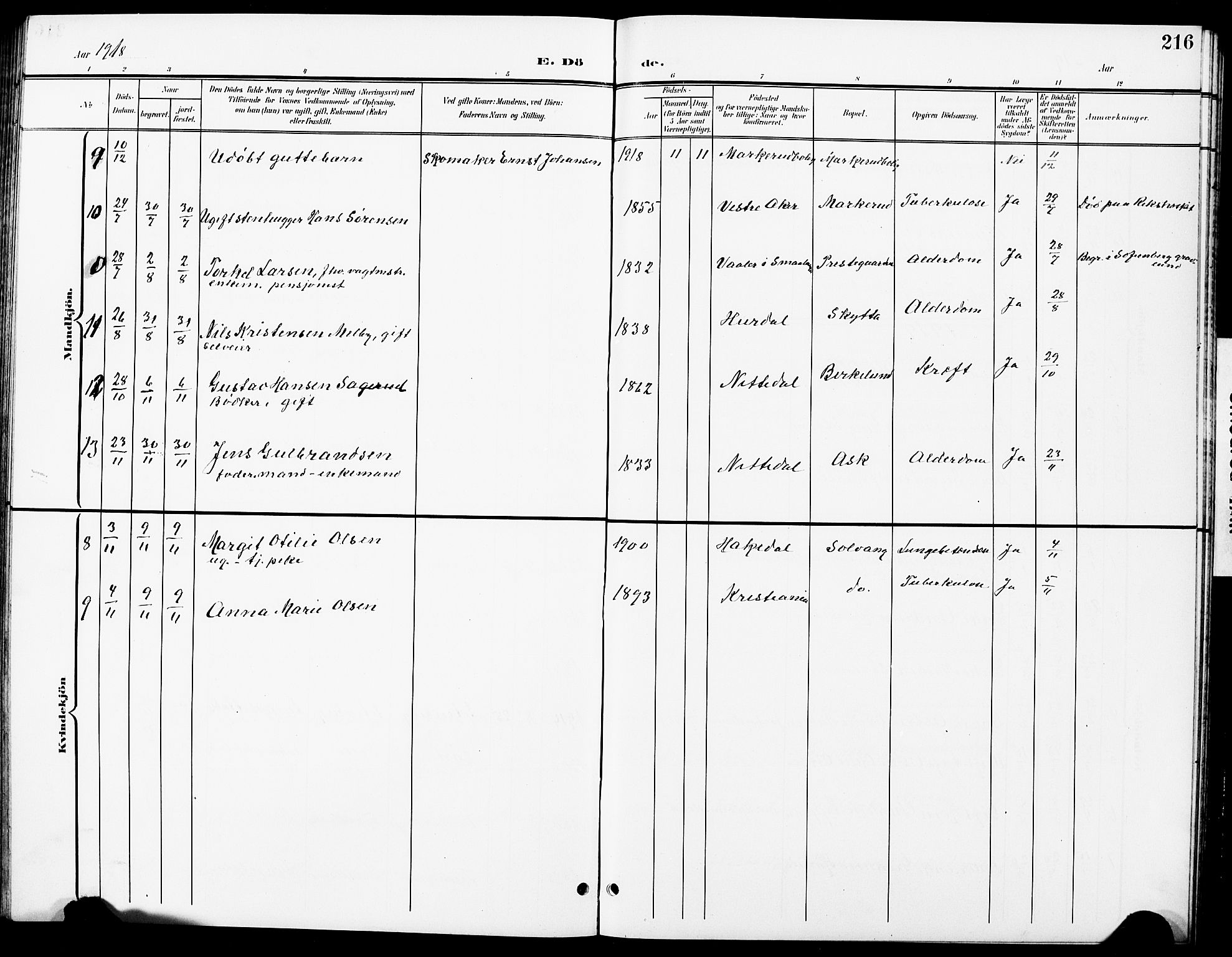 Nittedal prestekontor Kirkebøker, SAO/A-10365a/G/Ga/L0003: Parish register (copy) no. I 3, 1902-1929, p. 216