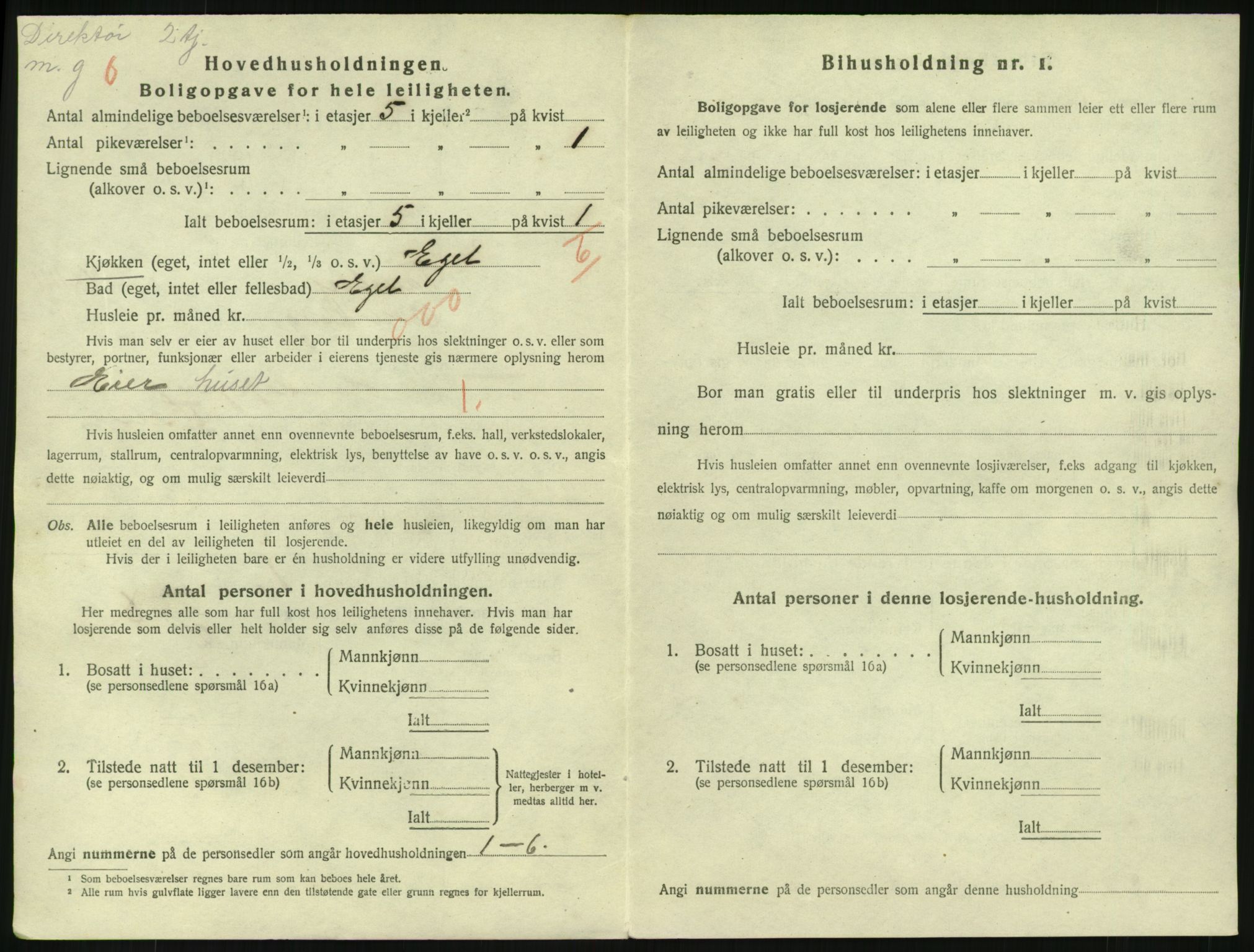 SAKO, 1920 census for Tønsberg, 1920, p. 8376