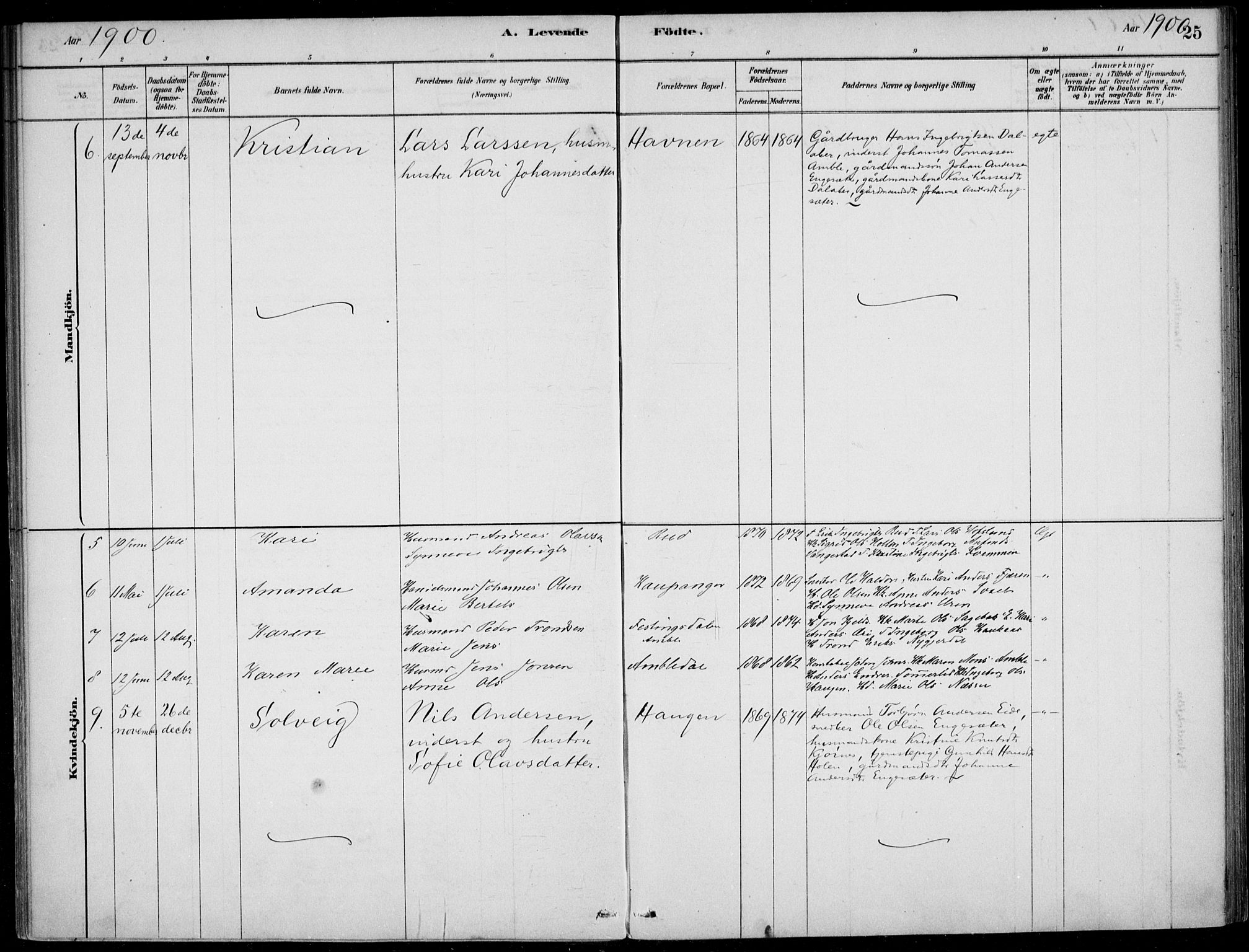 Sogndal sokneprestembete, AV/SAB-A-81301/H/Haa/Haad/L0001: Parish register (official) no. D  1, 1878-1907, p. 25