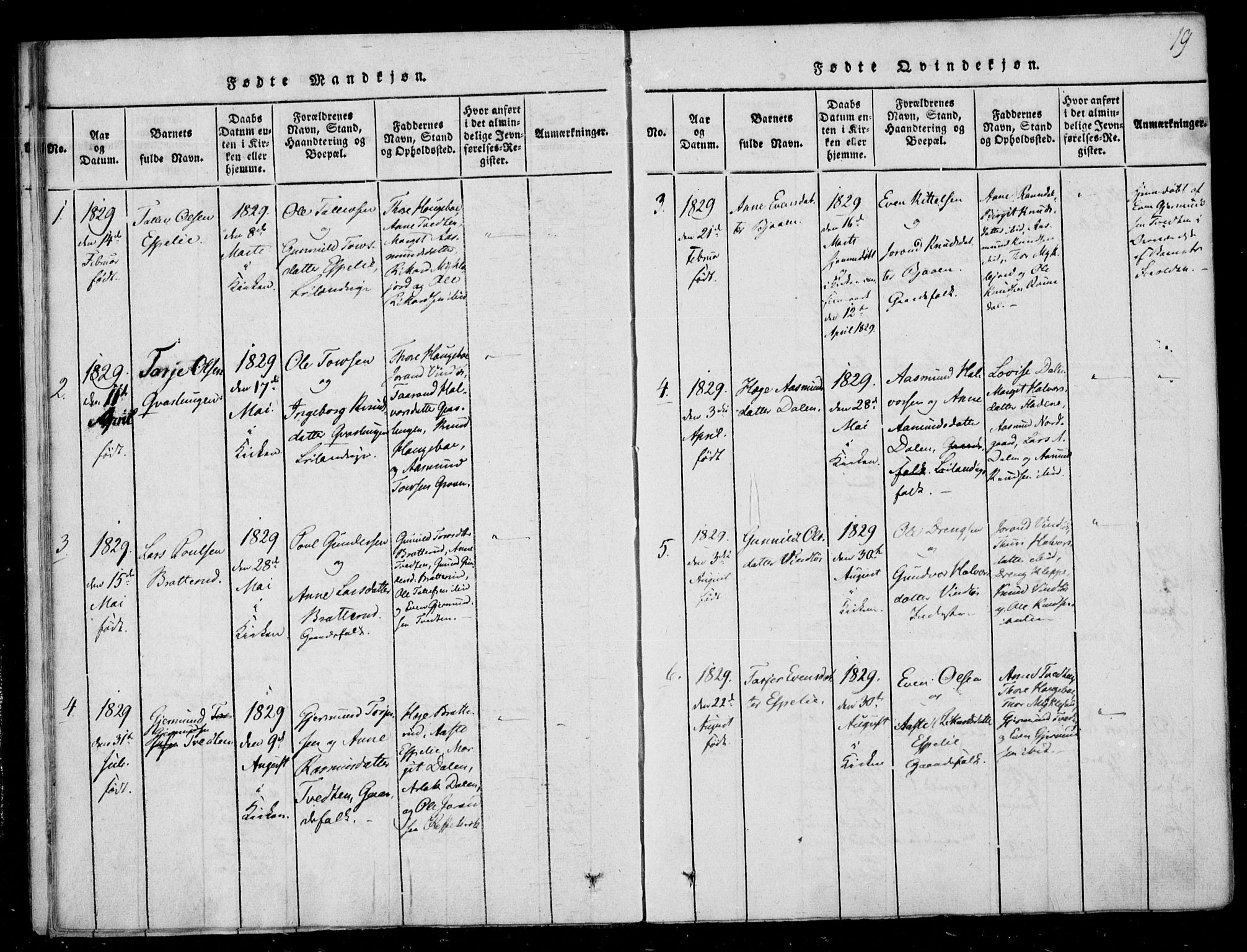 Lårdal kirkebøker, SAKO/A-284/F/Fb/L0001: Parish register (official) no. II 1, 1815-1860, p. 19