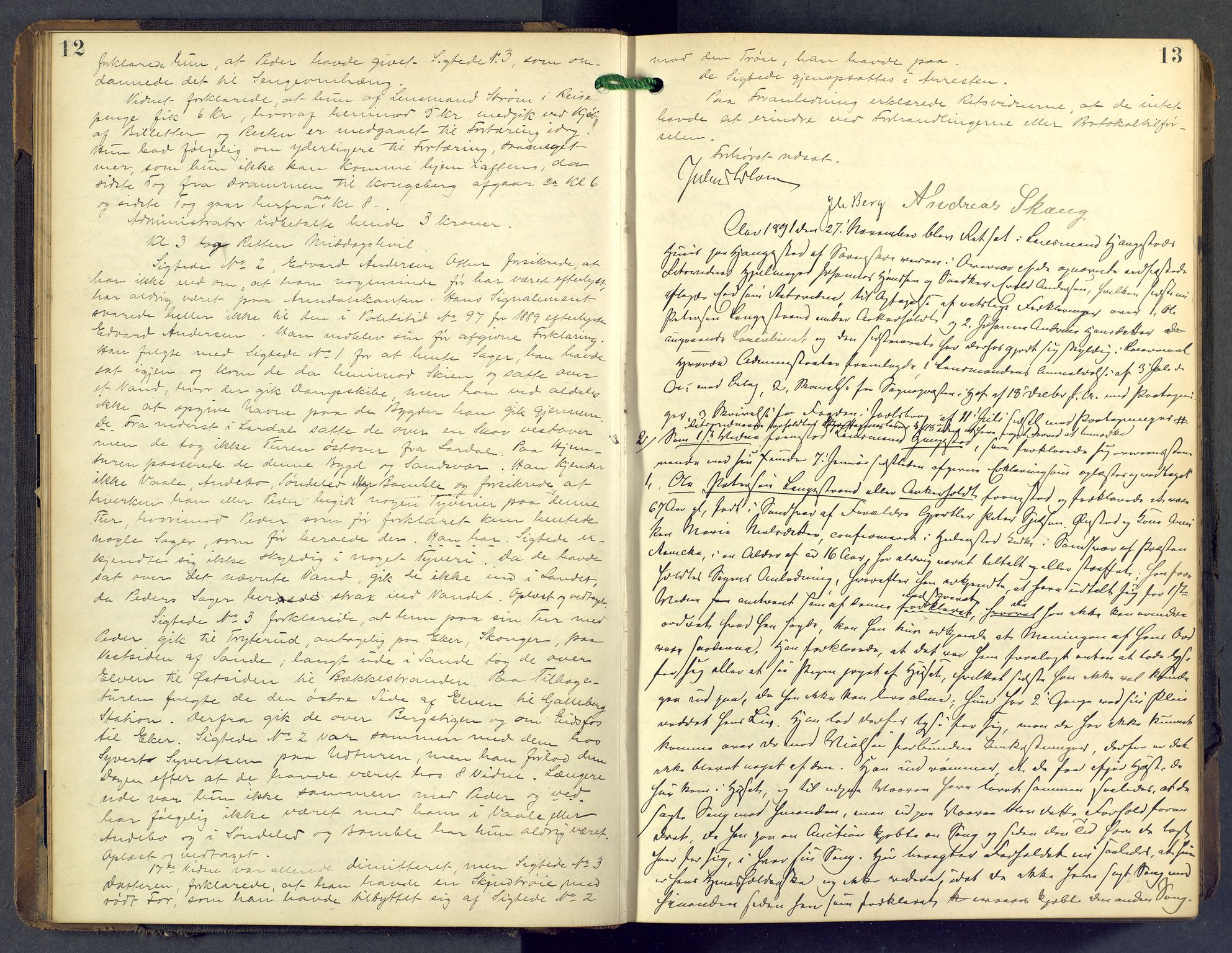 Nordre Jarlsberg sorenskriveri, AV/SAKO-A-80/F/Fb/Fba/L0028: Ekstrarettsprotokoll, 1891-1897, p. 12-13