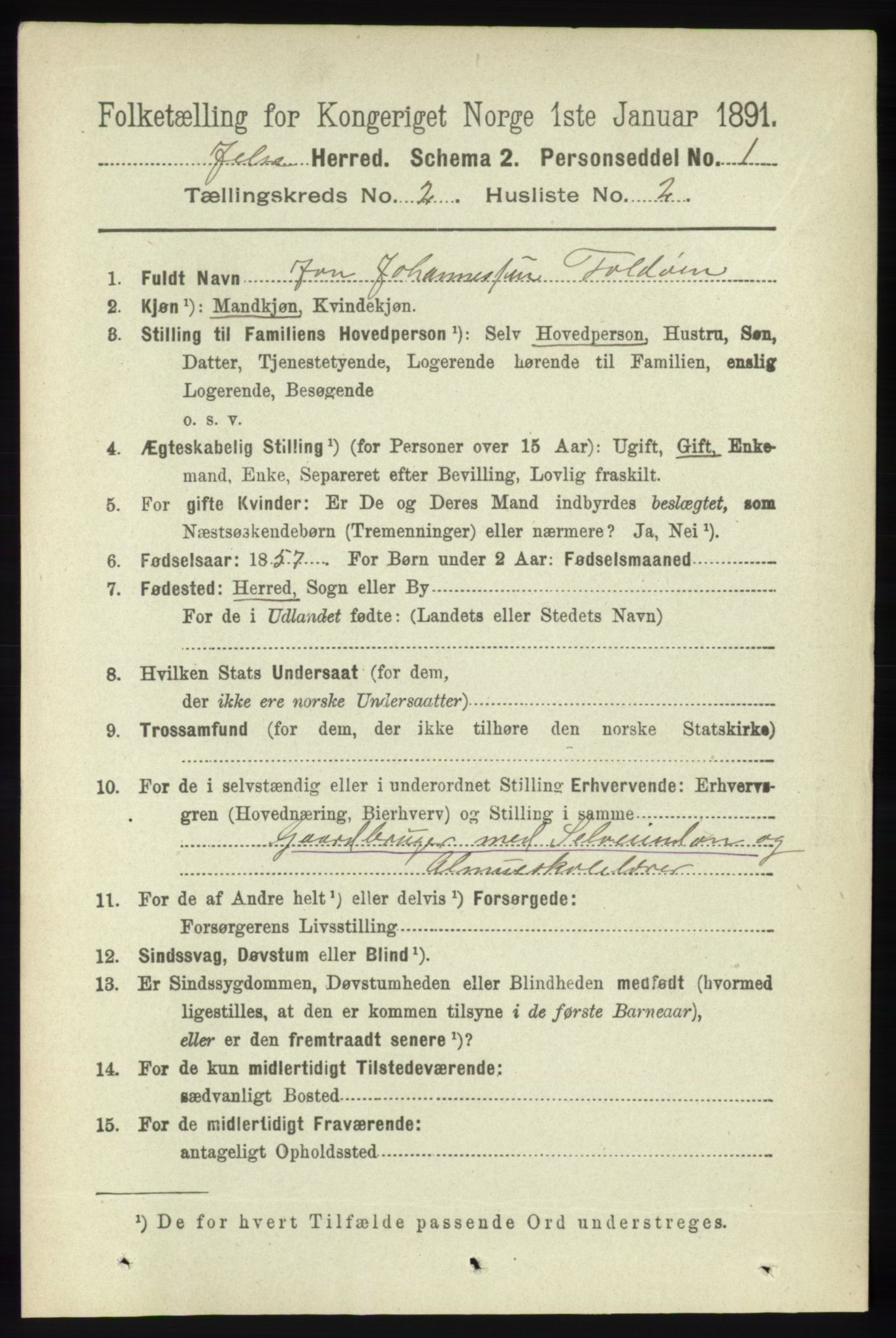 RA, 1891 census for 1138 Jelsa, 1891, p. 250