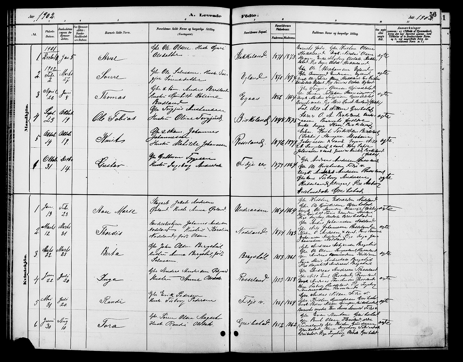 Søgne sokneprestkontor, SAK/1111-0037/F/Fb/Fba/L0004: Parish register (copy) no. B 4, 1888-1903, p. 56