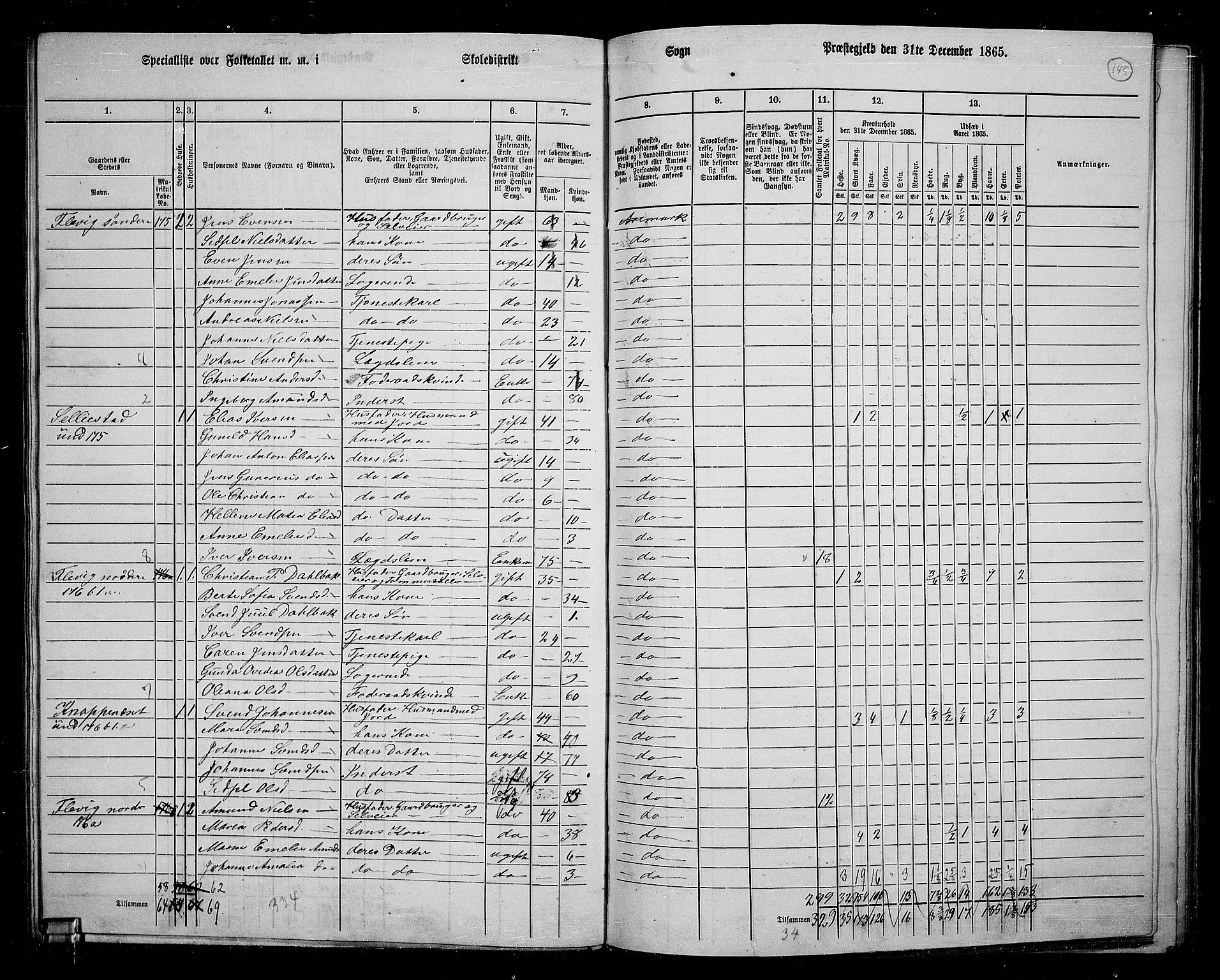 RA, 1865 census for Aremark, 1865, p. 133