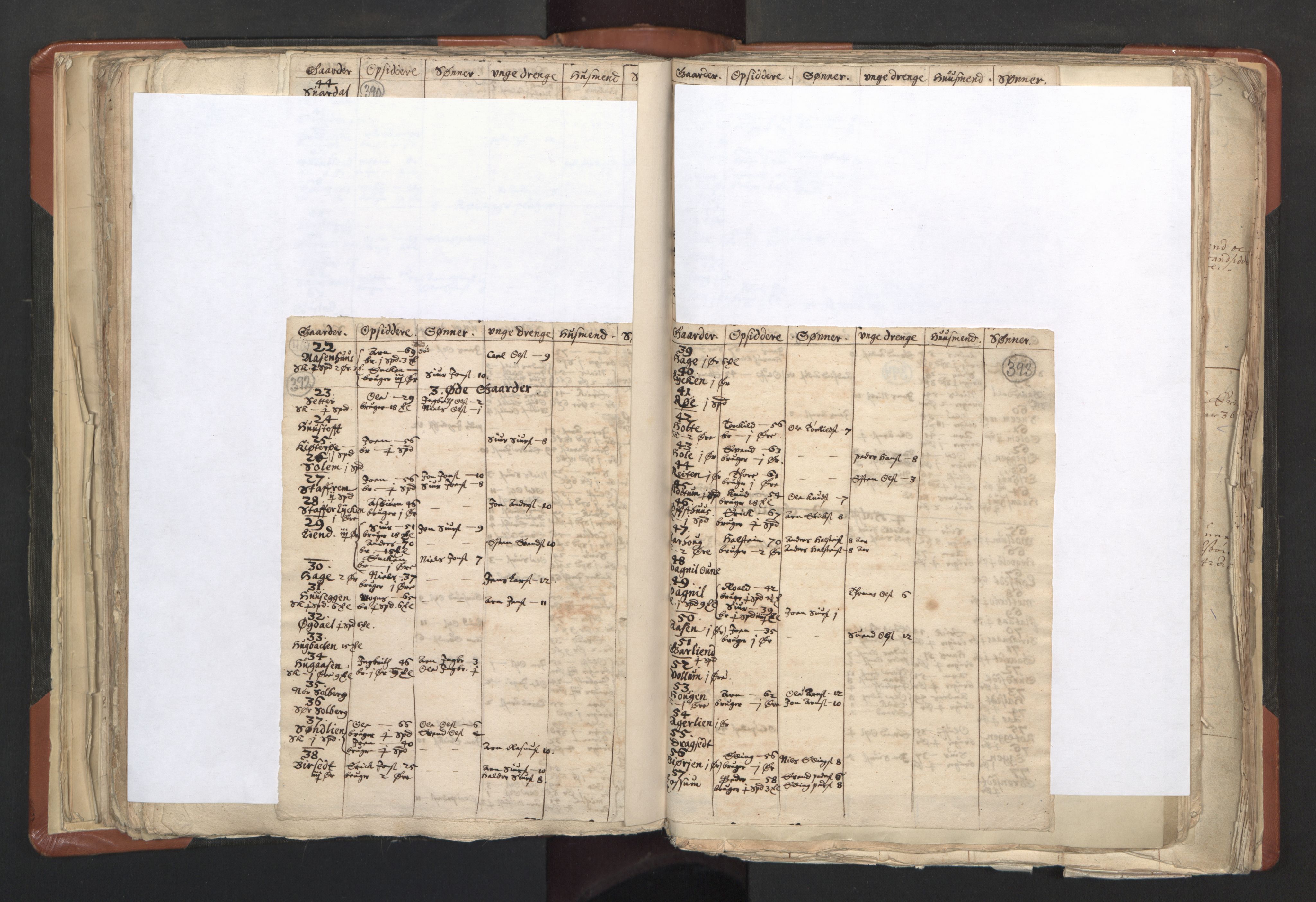 RA, Vicar's Census 1664-1666, no. 31: Dalane deanery, 1664-1666, p. 392-393