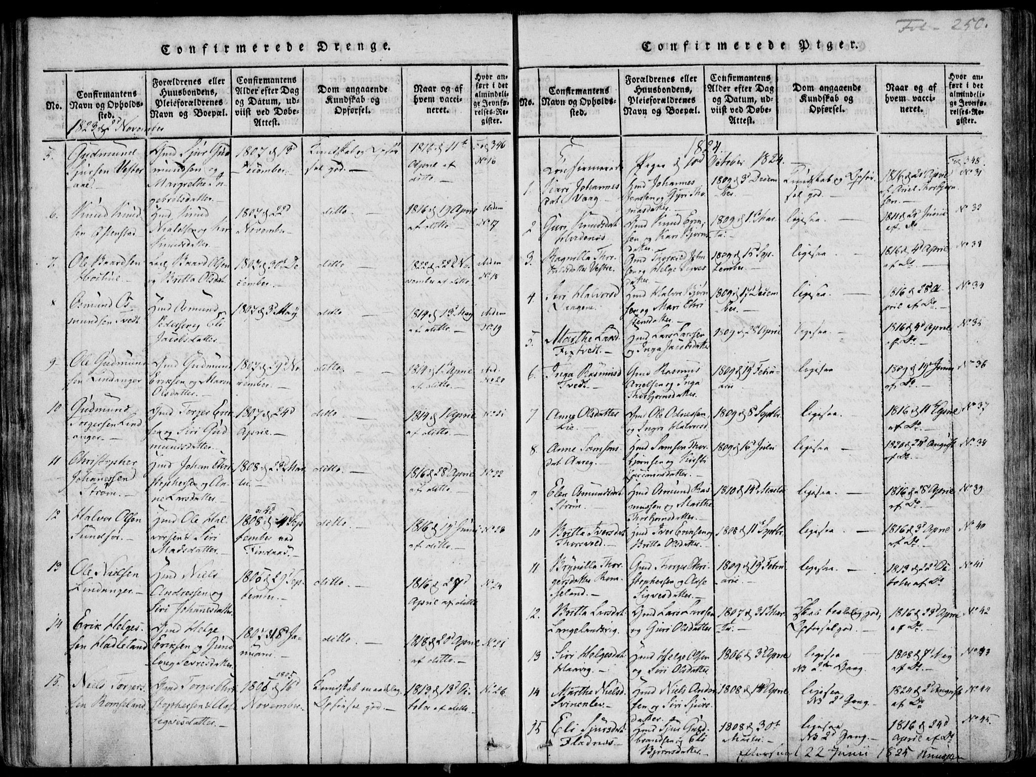 Skjold sokneprestkontor, AV/SAST-A-101847/H/Ha/Haa/L0003: Parish register (official) no. A 3, 1815-1835, p. 250