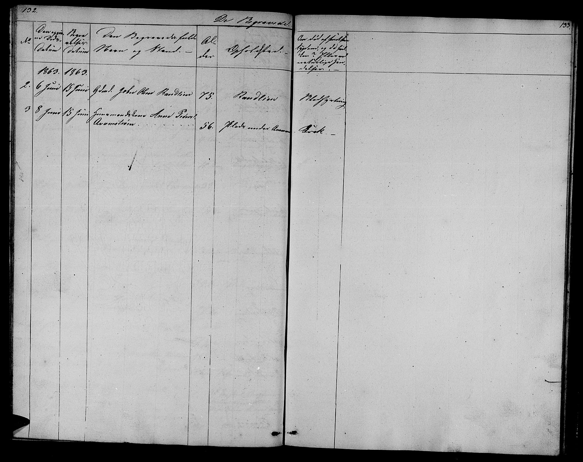 Ministerialprotokoller, klokkerbøker og fødselsregistre - Sør-Trøndelag, SAT/A-1456/608/L0339: Parish register (copy) no. 608C05, 1844-1863, p. 132-133
