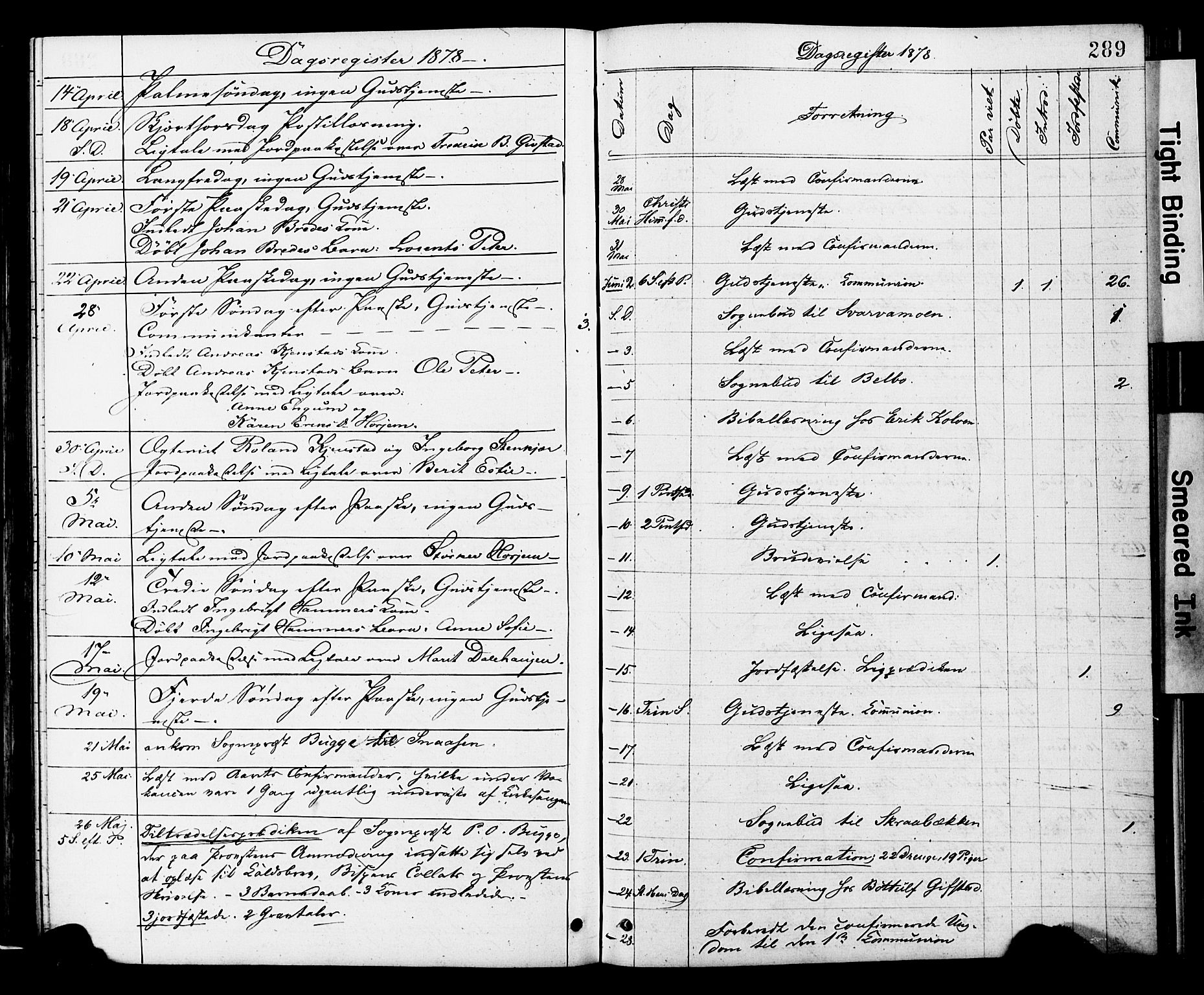 Ministerialprotokoller, klokkerbøker og fødselsregistre - Nord-Trøndelag, AV/SAT-A-1458/749/L0473: Parish register (official) no. 749A07, 1873-1887, p. 289