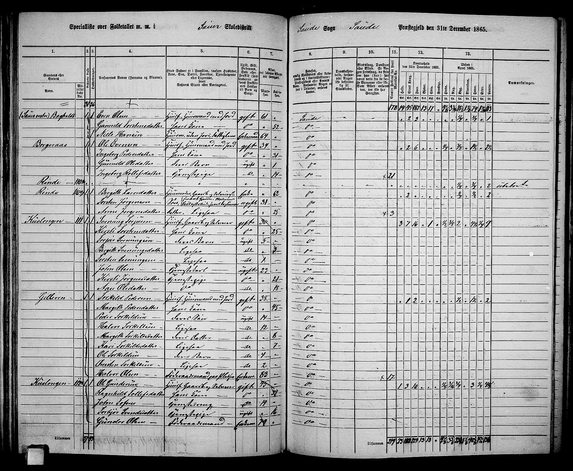 RA, 1865 census for Sauherad, 1865, p. 95